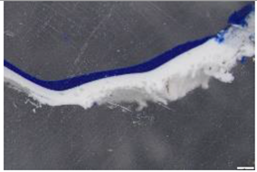 Preprints 183996 i004