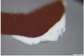 Preprints 183996 i006