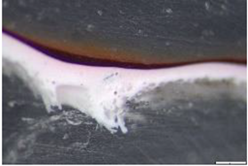 Preprints 183996 i007