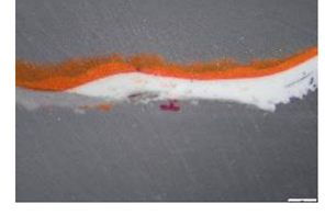 Preprints 183996 i008