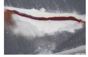 Preprints 183996 i009