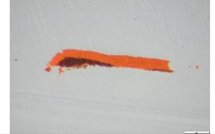 Preprints 183996 i013