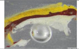 Preprints 183996 i014