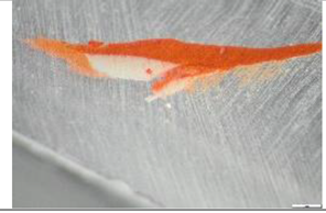 Preprints 183996 i015