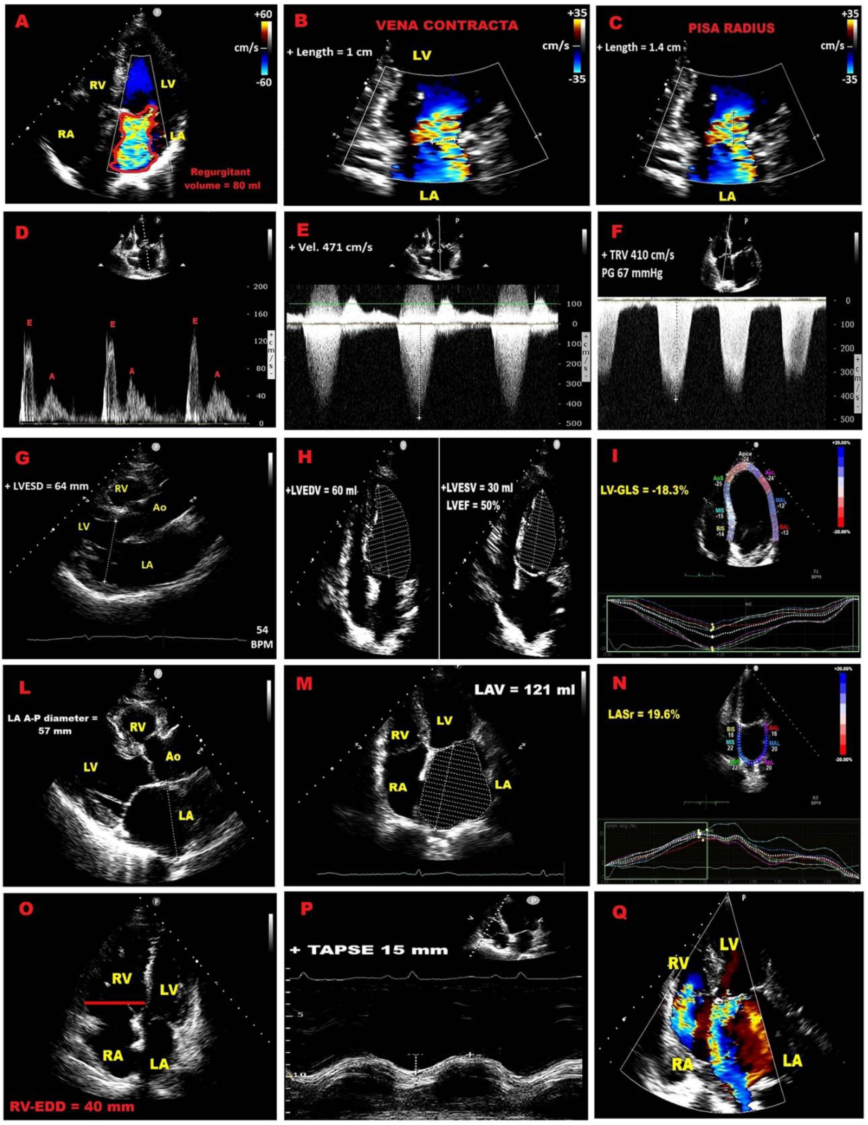 Preprints 173010 g001