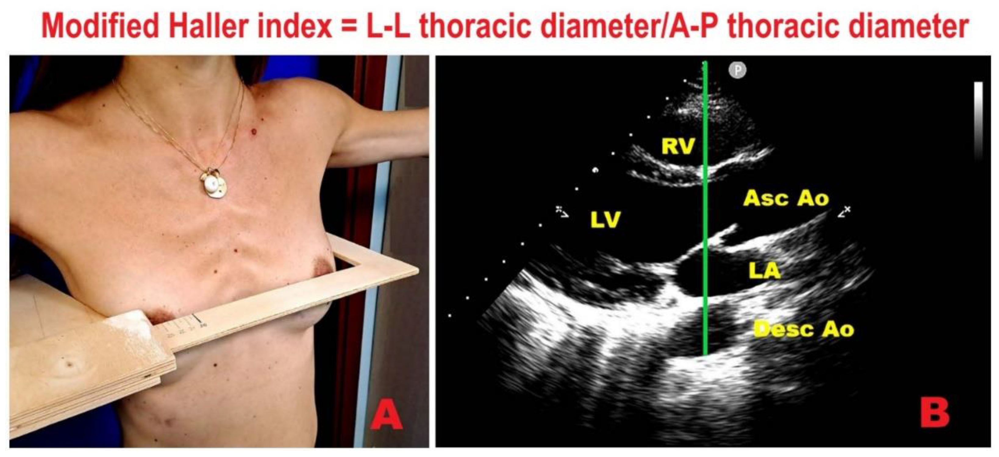 Preprints 173010 g002