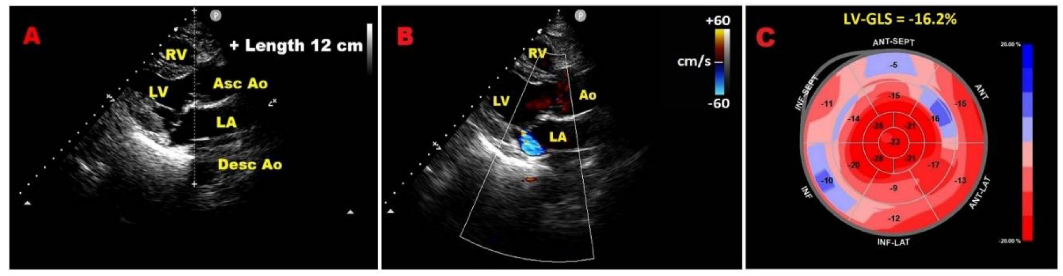 Preprints 173010 g003