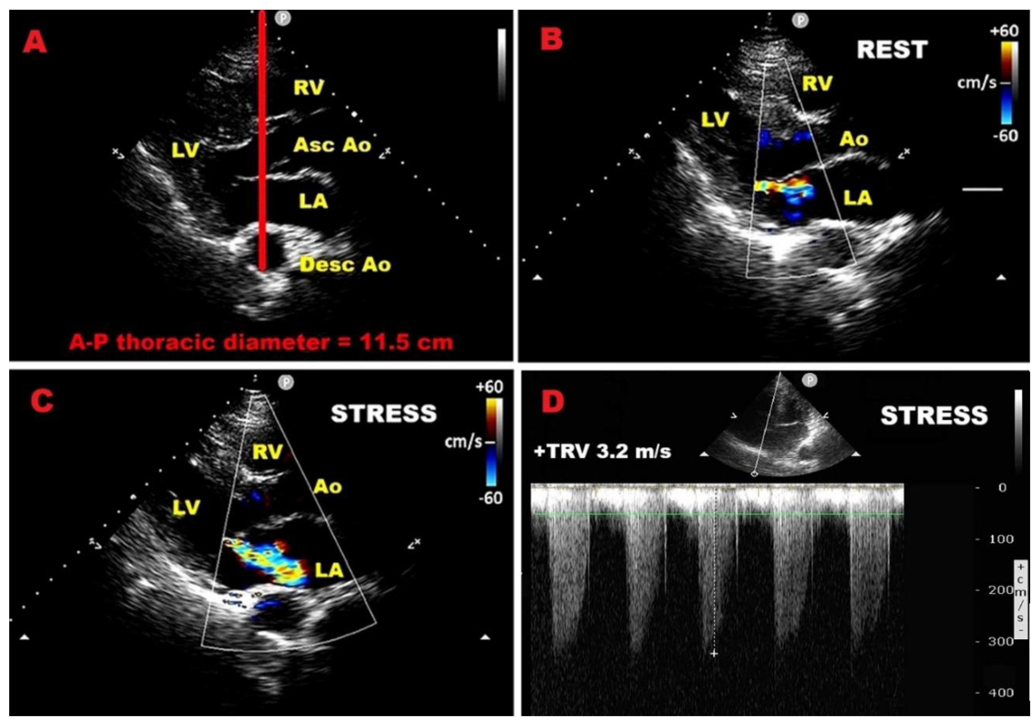 Preprints 173010 g005