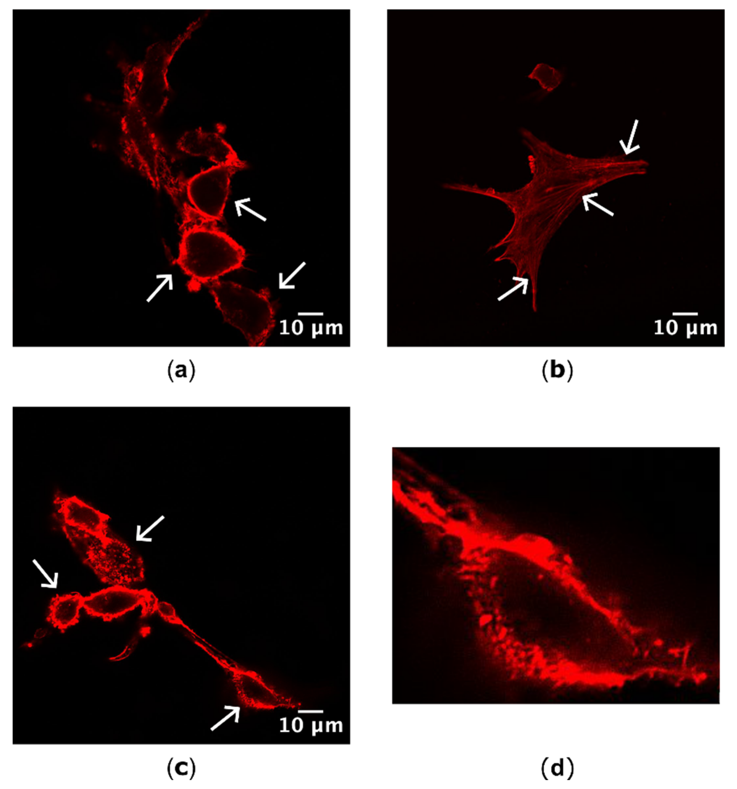 Preprints 101208 g002