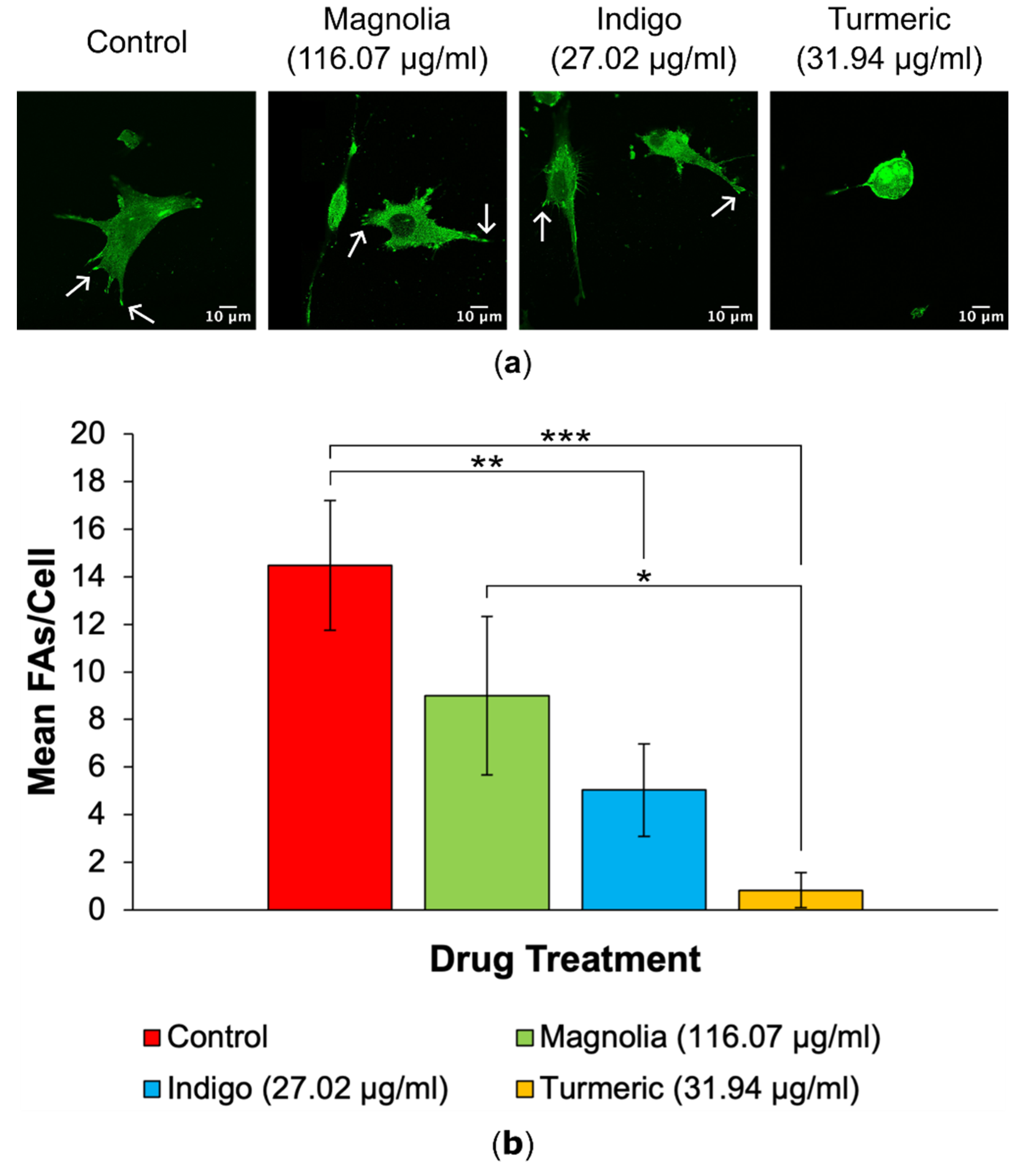 Preprints 101208 g004