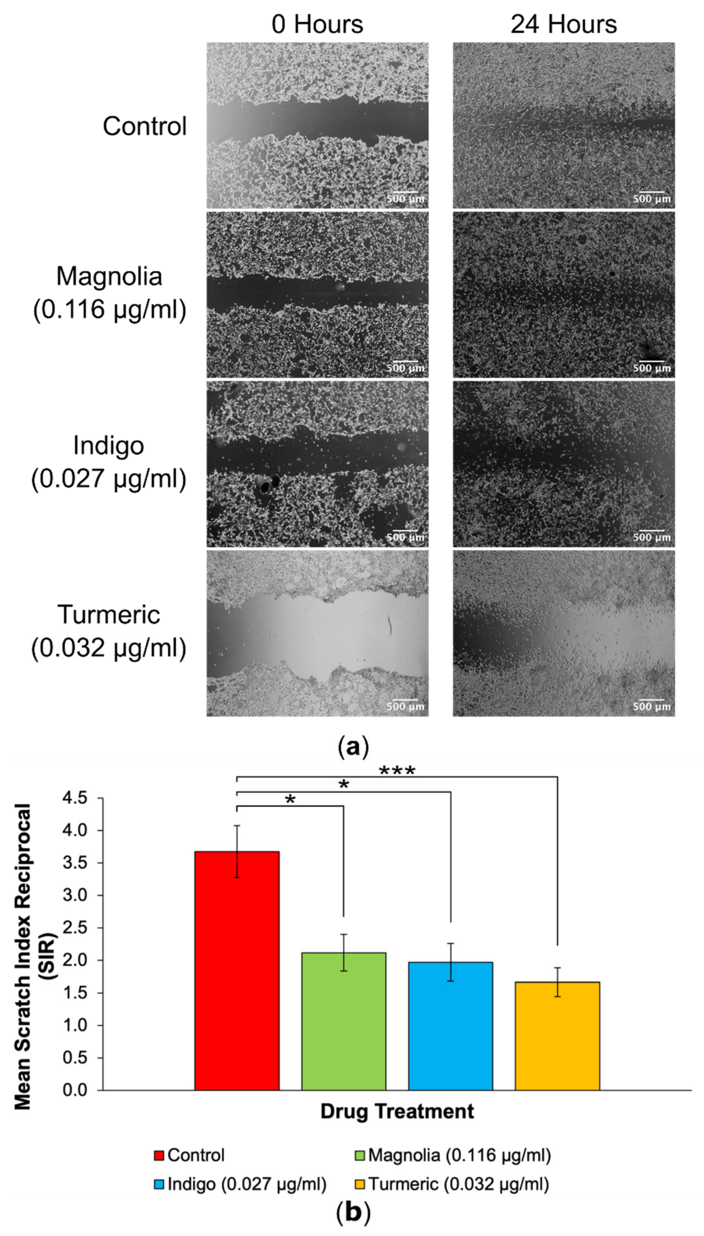 Preprints 101208 g005