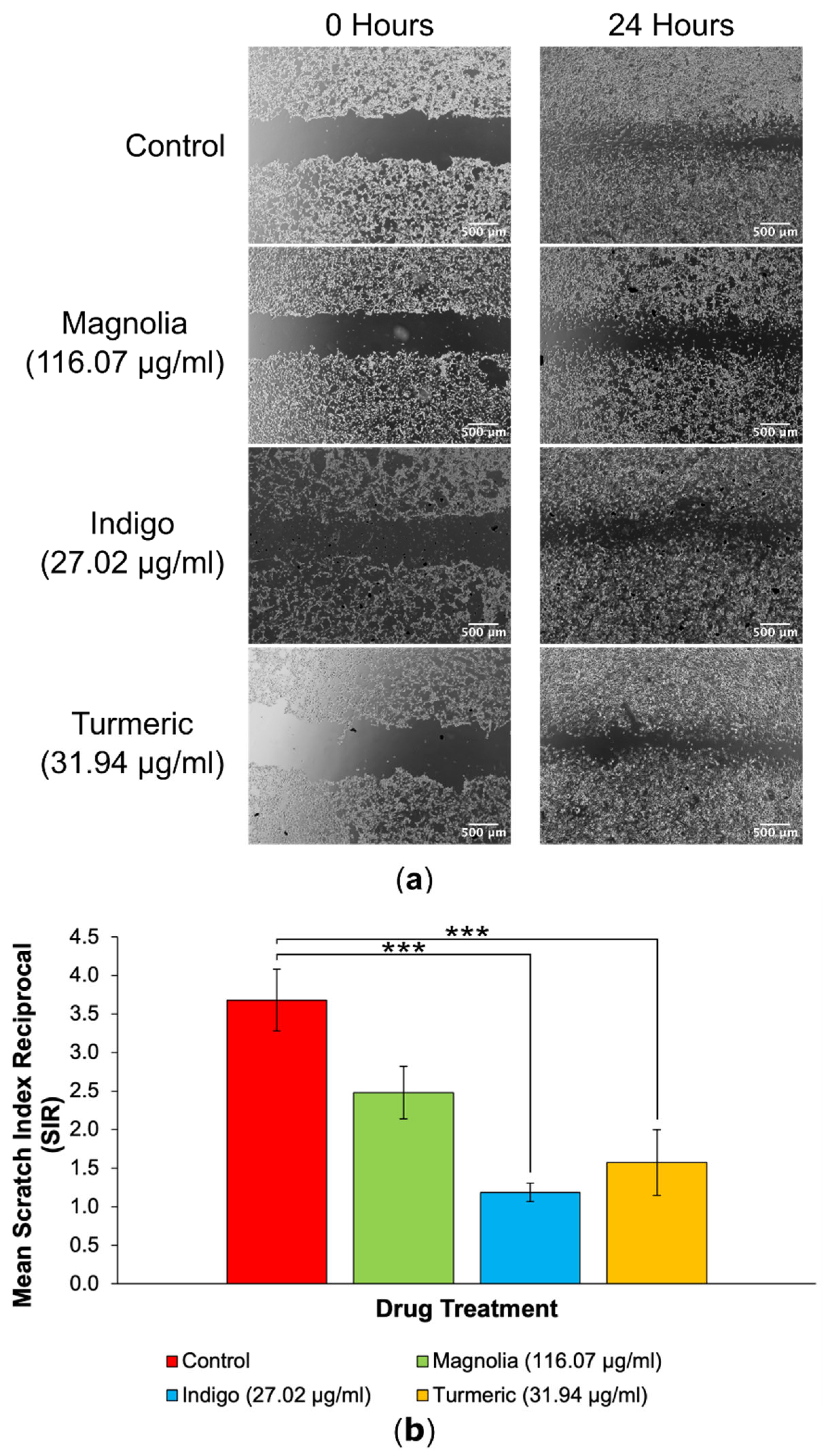 Preprints 101208 g006
