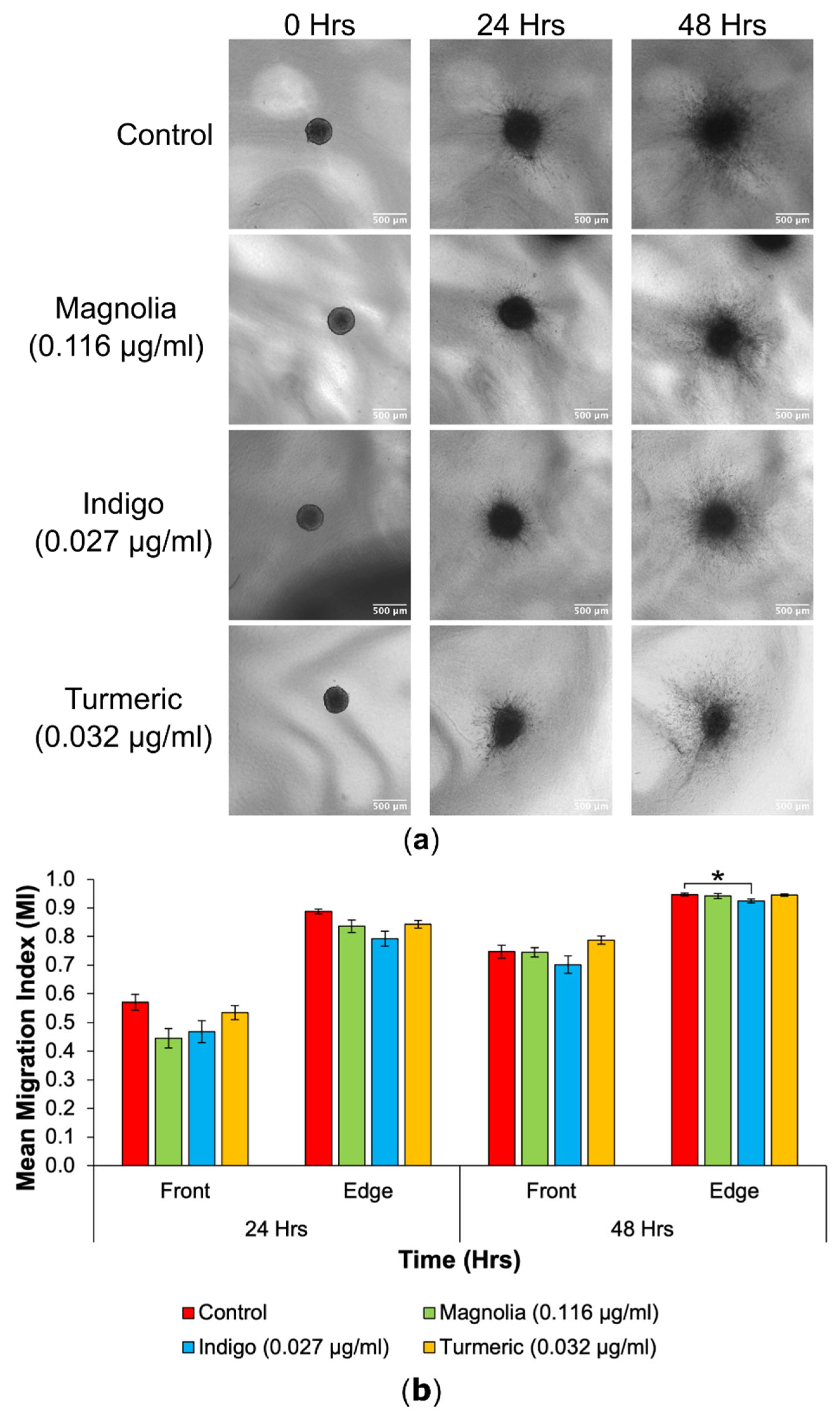 Preprints 101208 g007