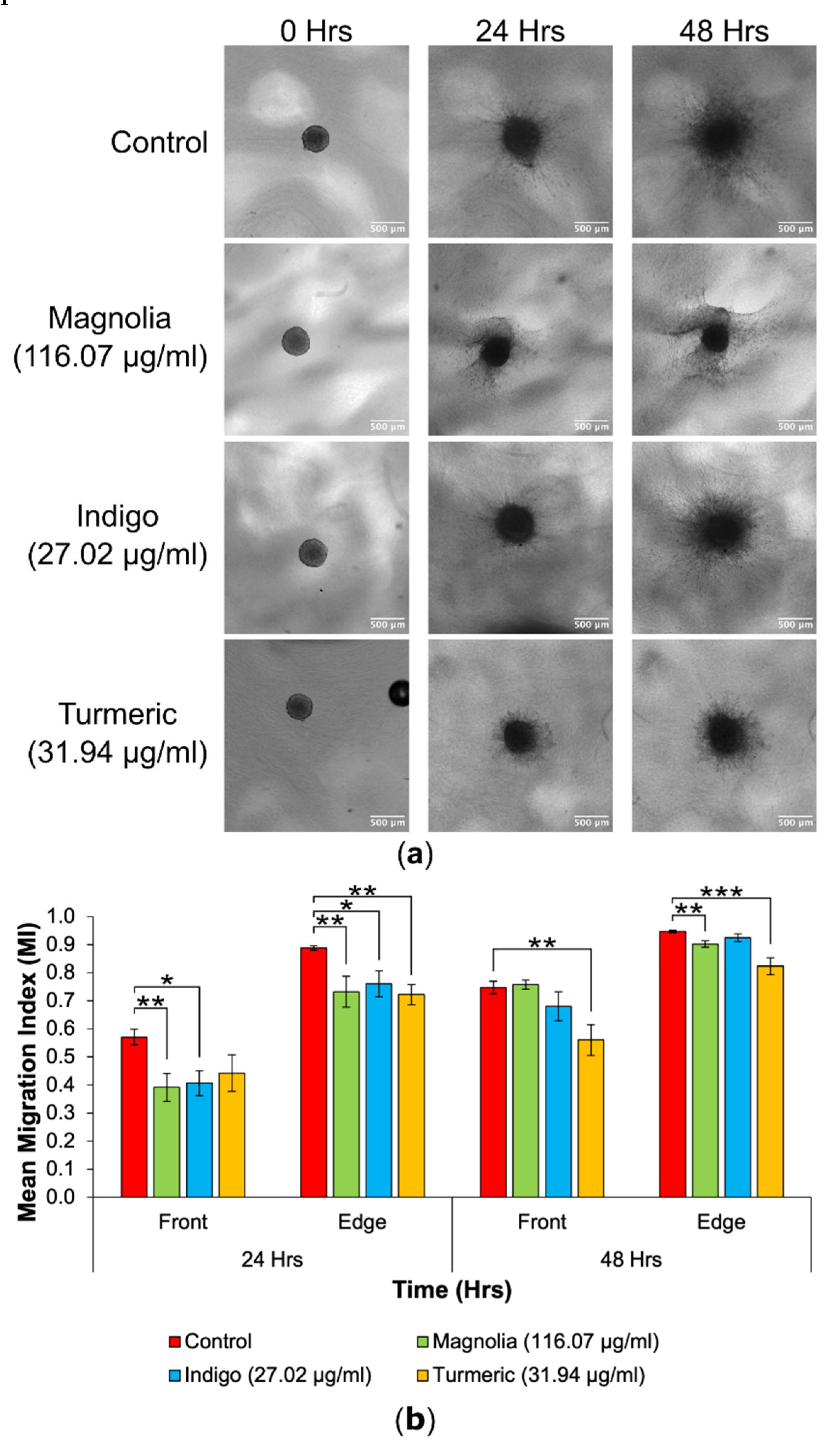Preprints 101208 g008