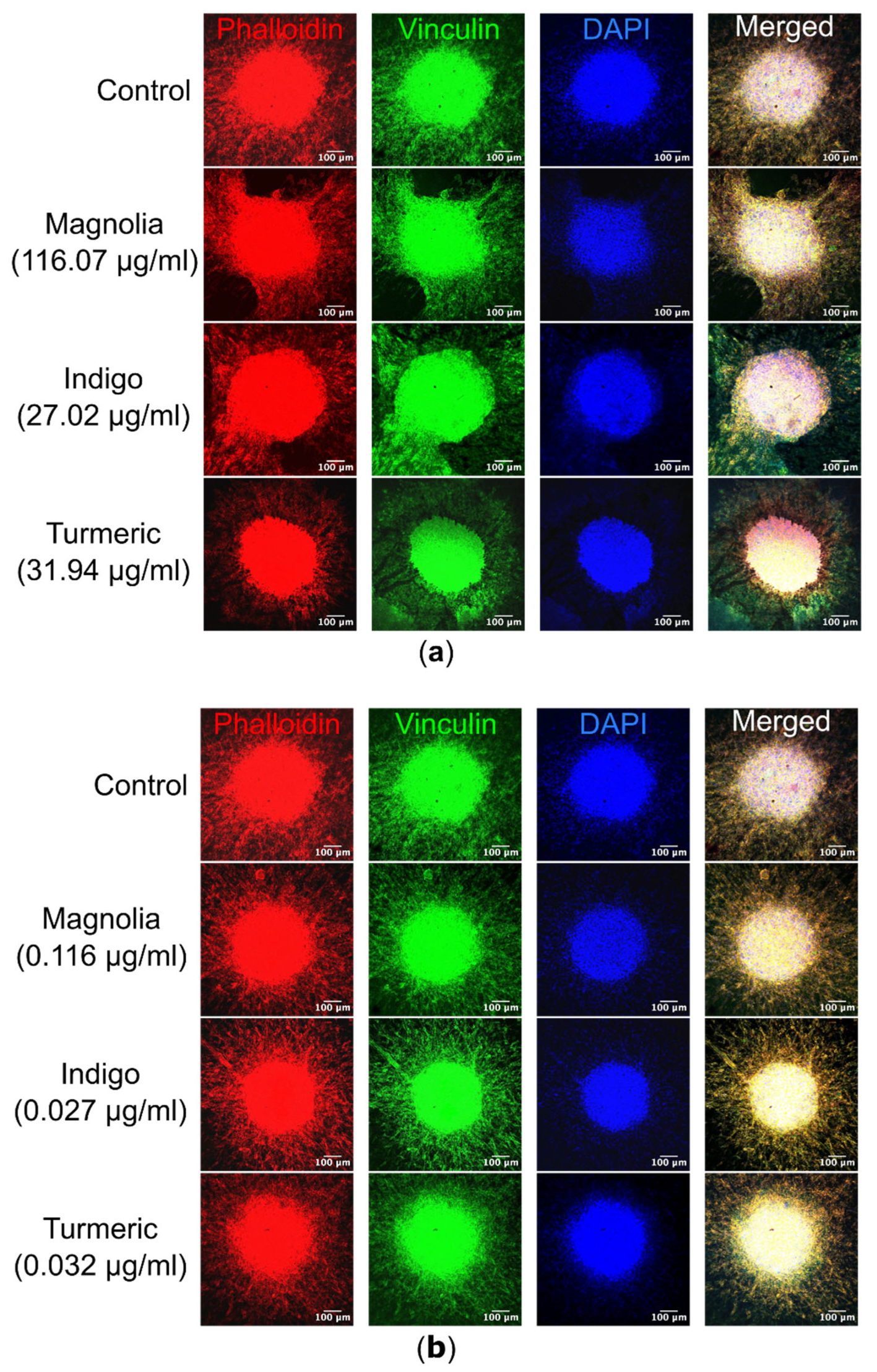 Preprints 101208 g009