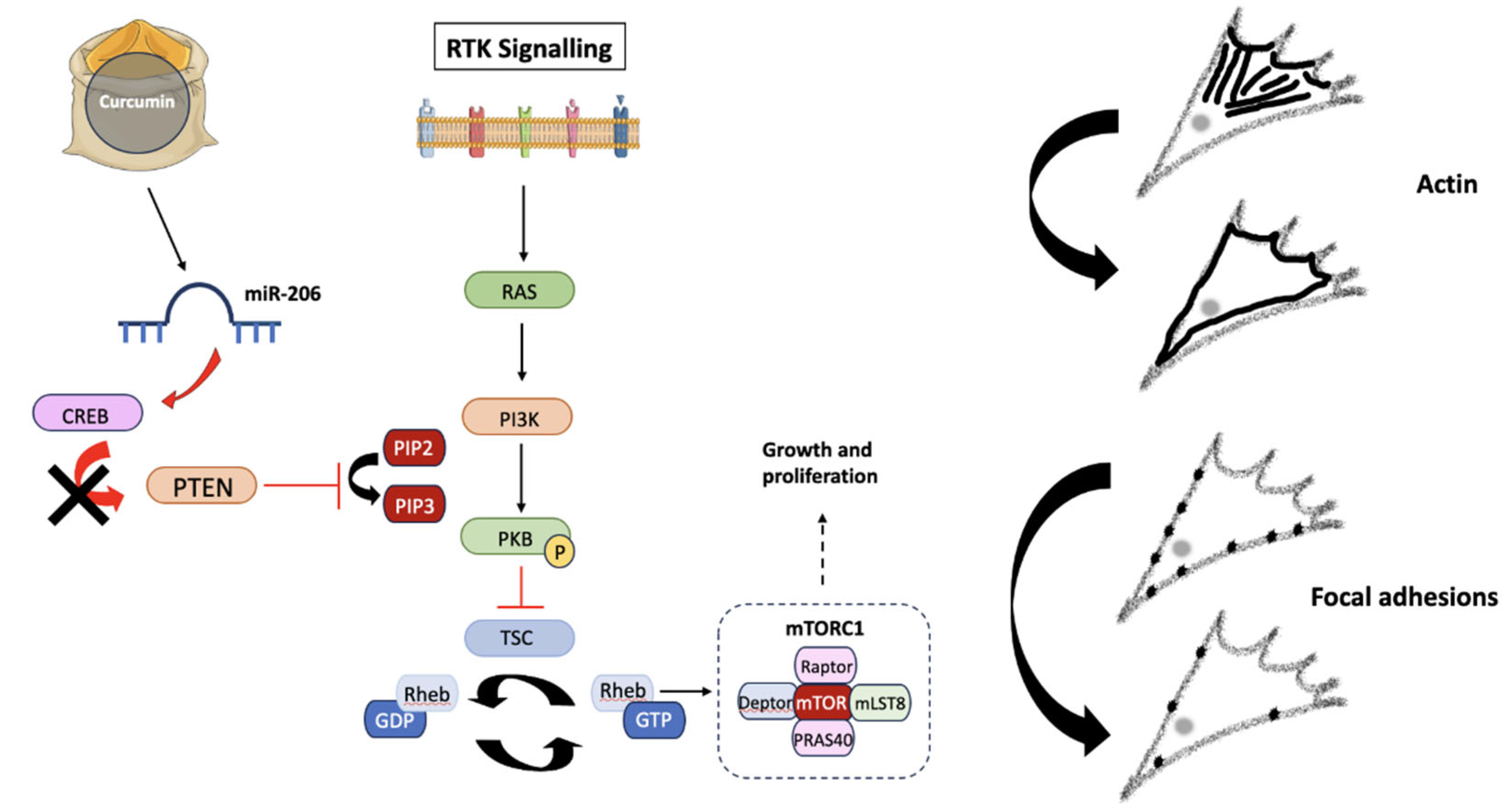 Preprints 101208 g010