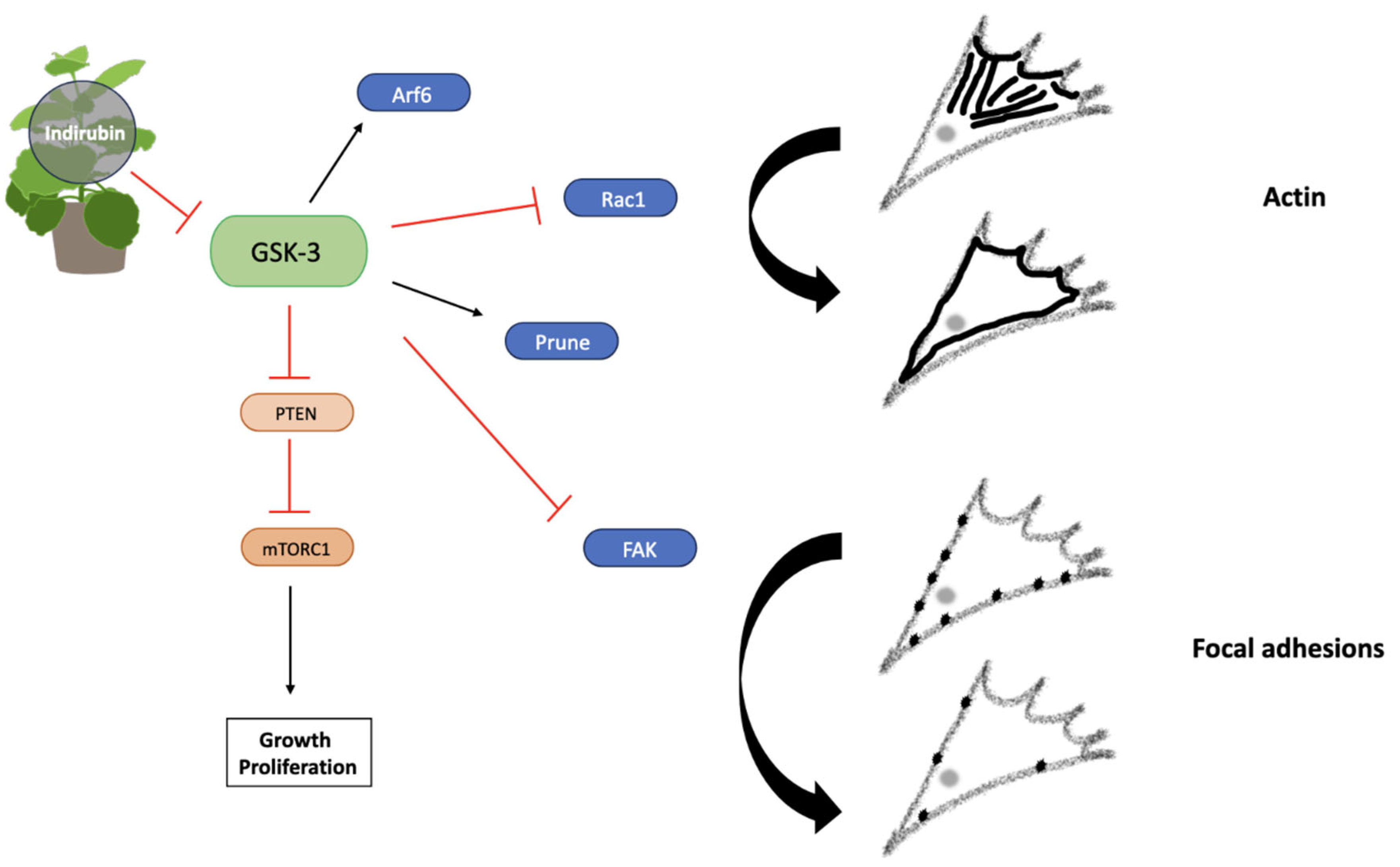 Preprints 101208 g011