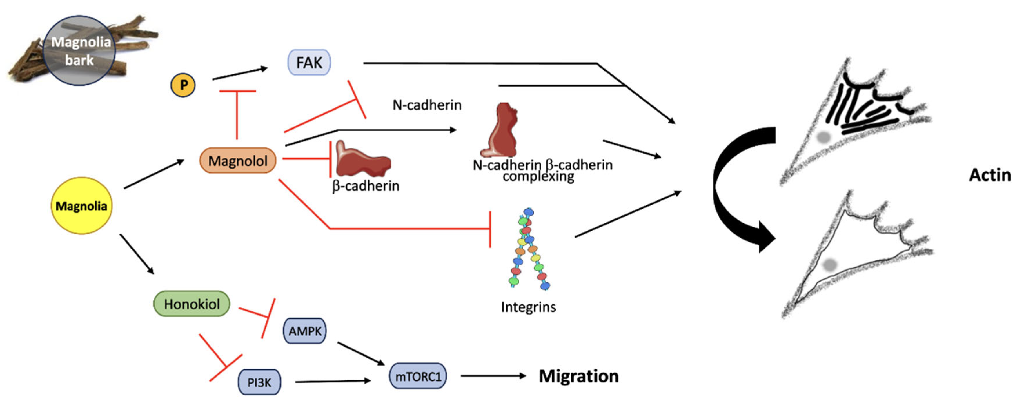 Preprints 101208 g012