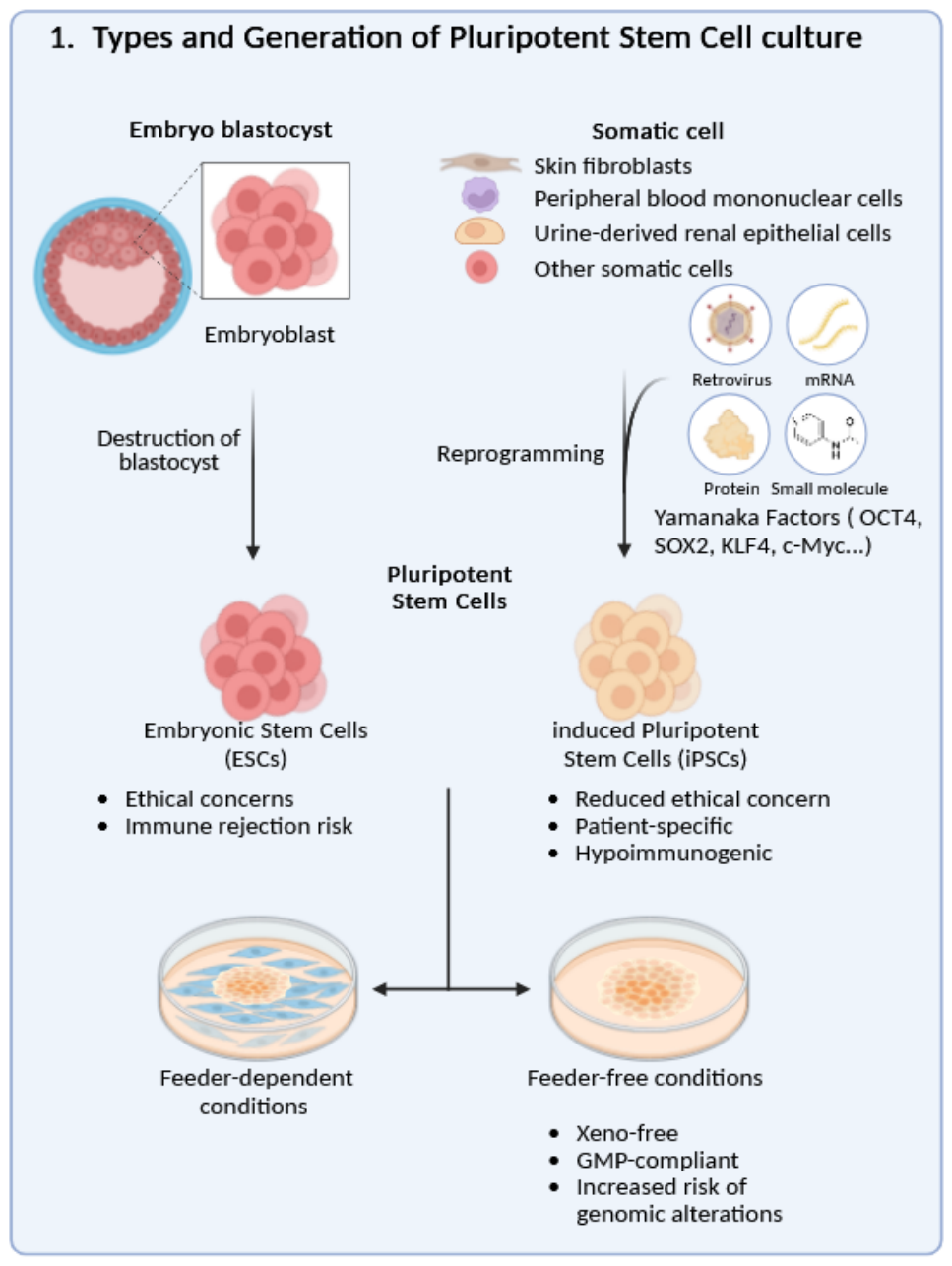 Preprints 221039 g001