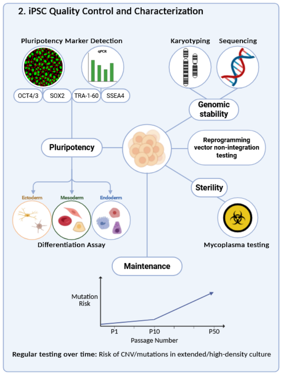 Preprints 221039 g002