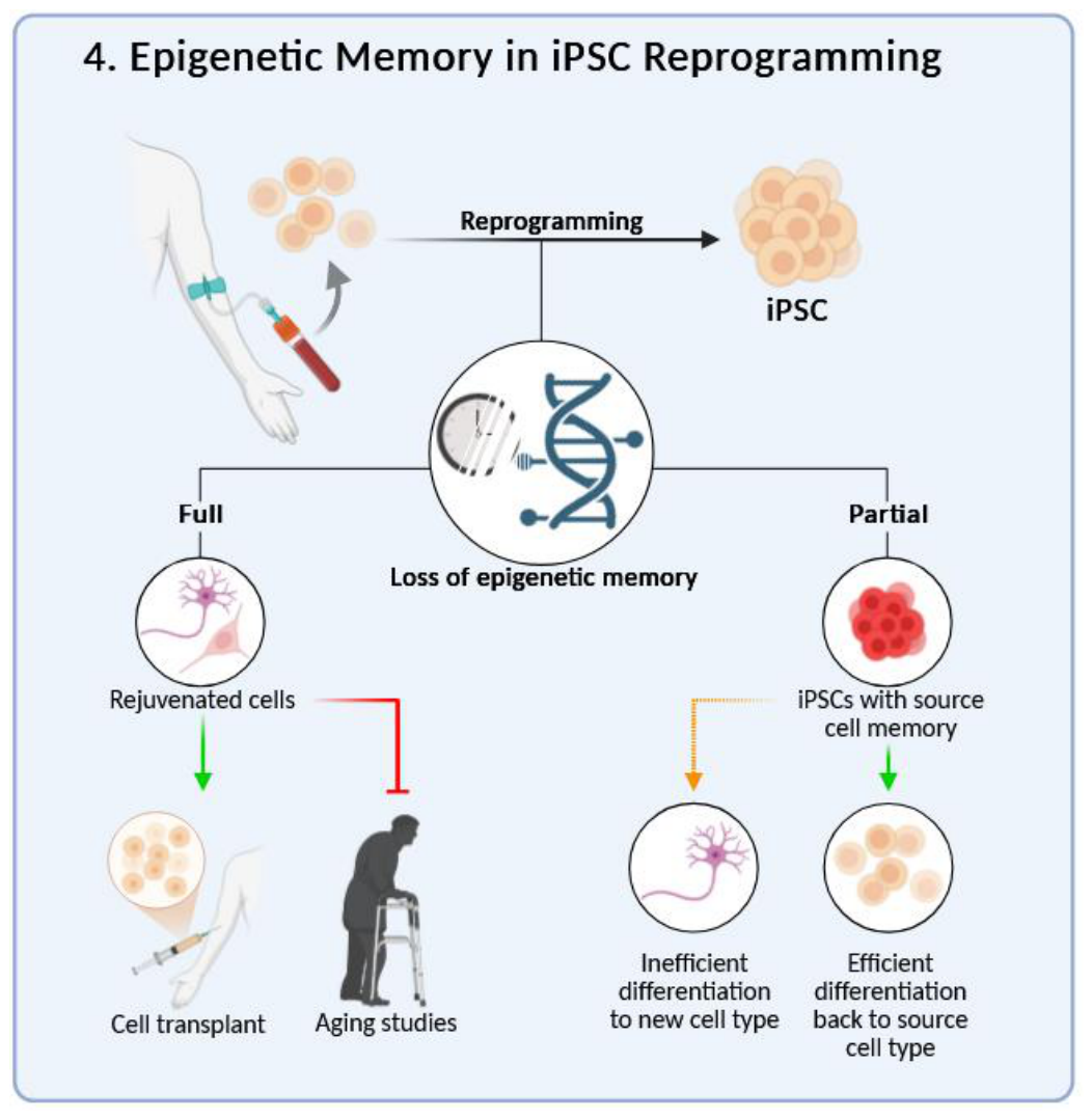 Preprints 221039 g004