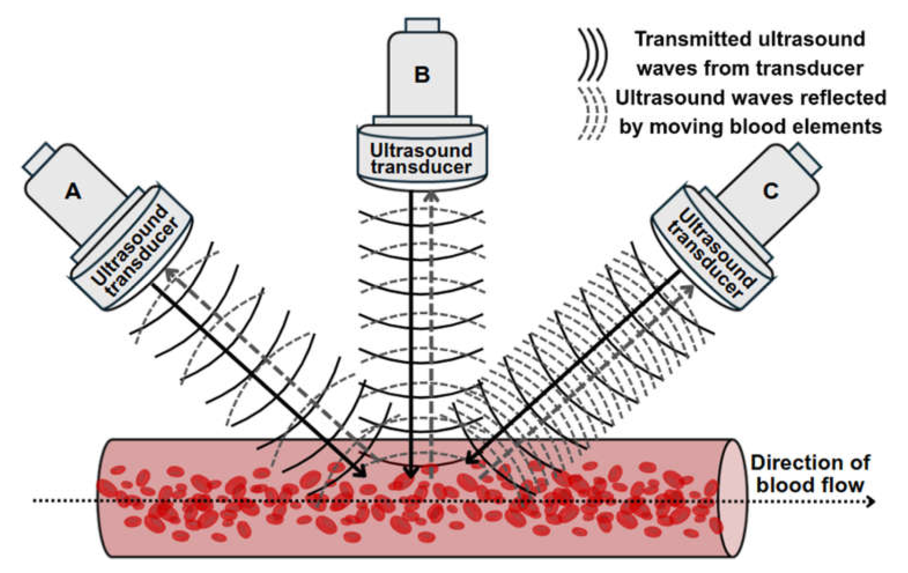 Preprints 174391 g004