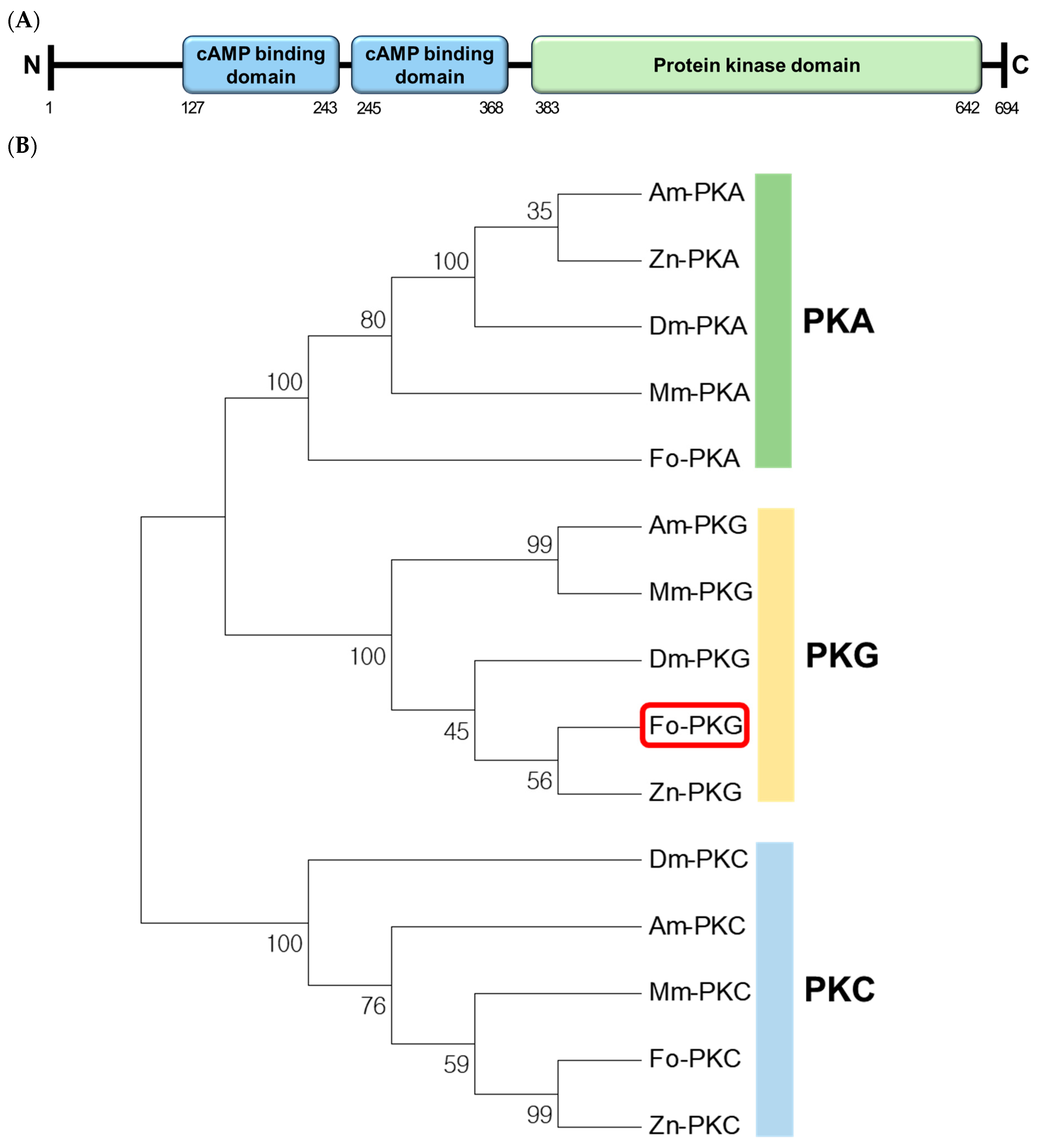 Preprints 148471 g001a