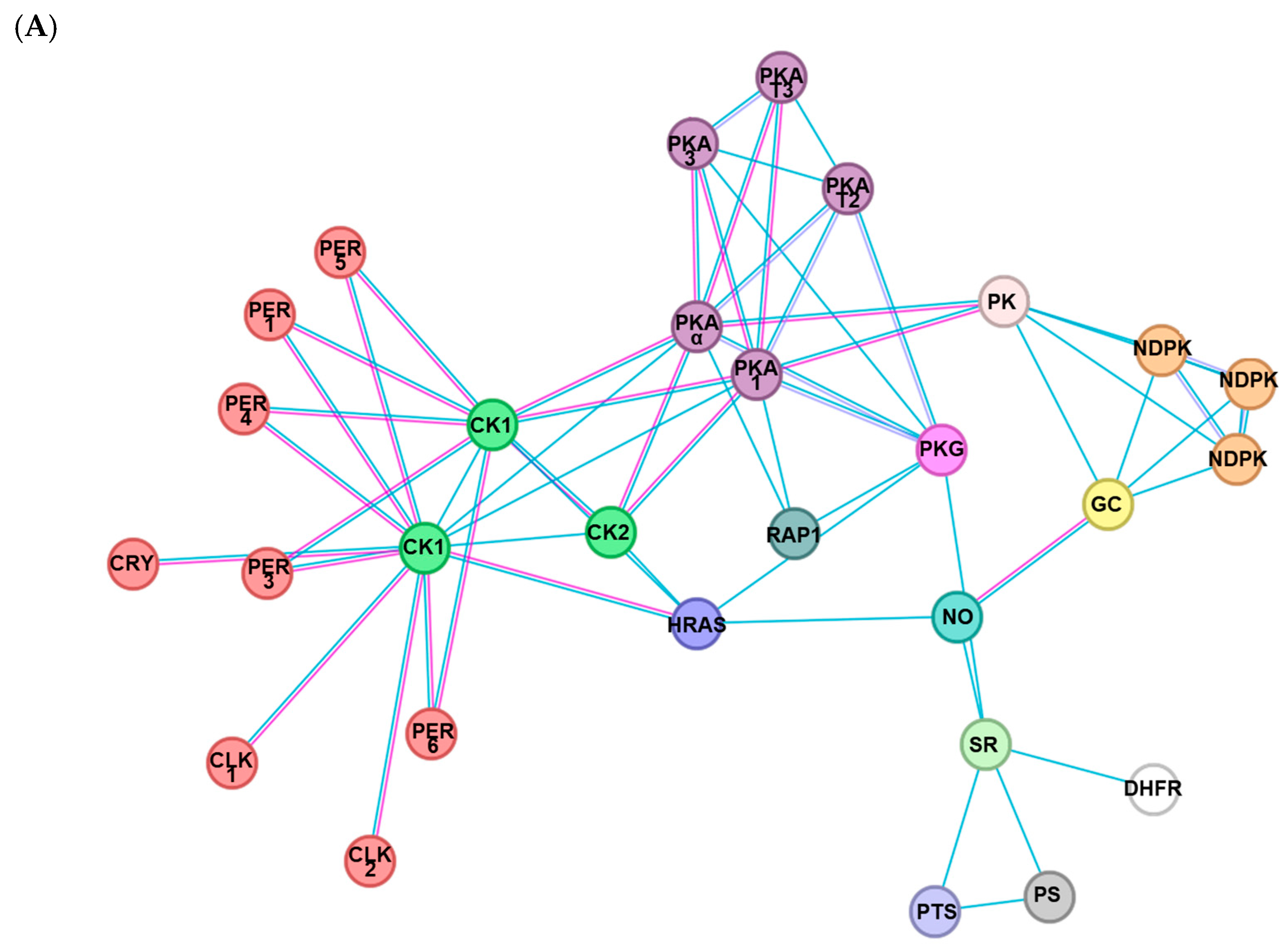 Preprints 148471 g003a
