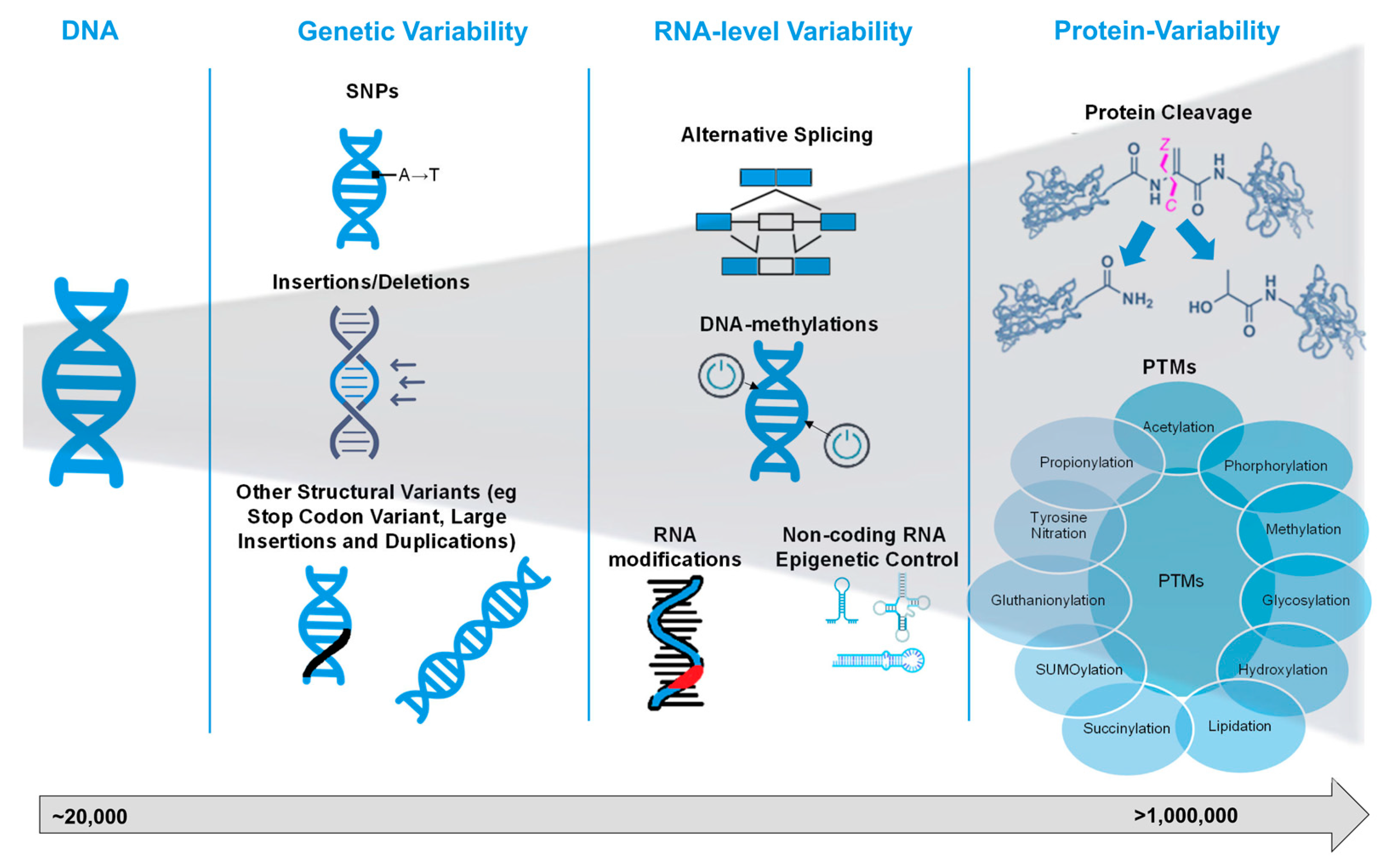 Preprints 183988 g001