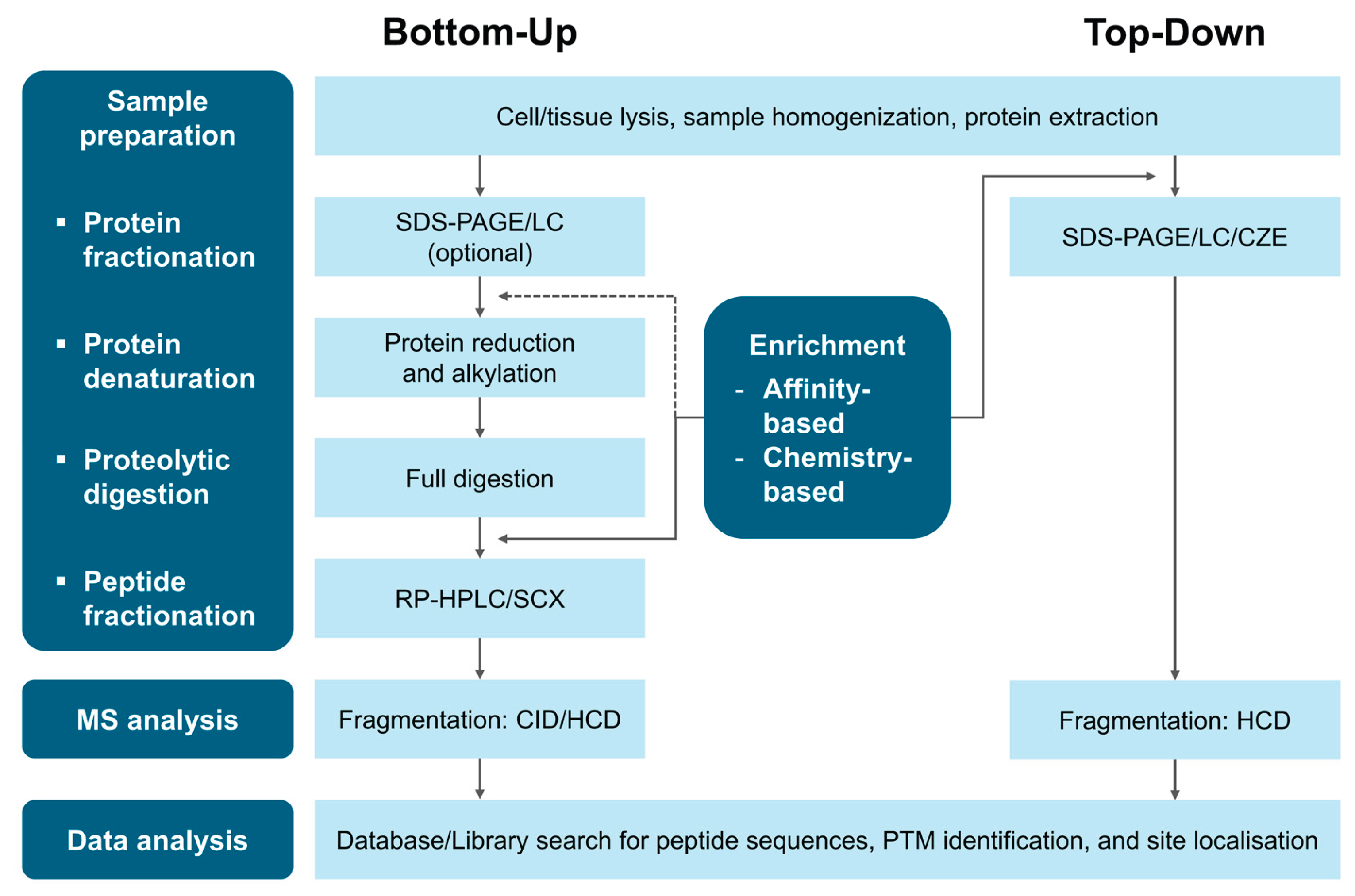 Preprints 183988 g002
