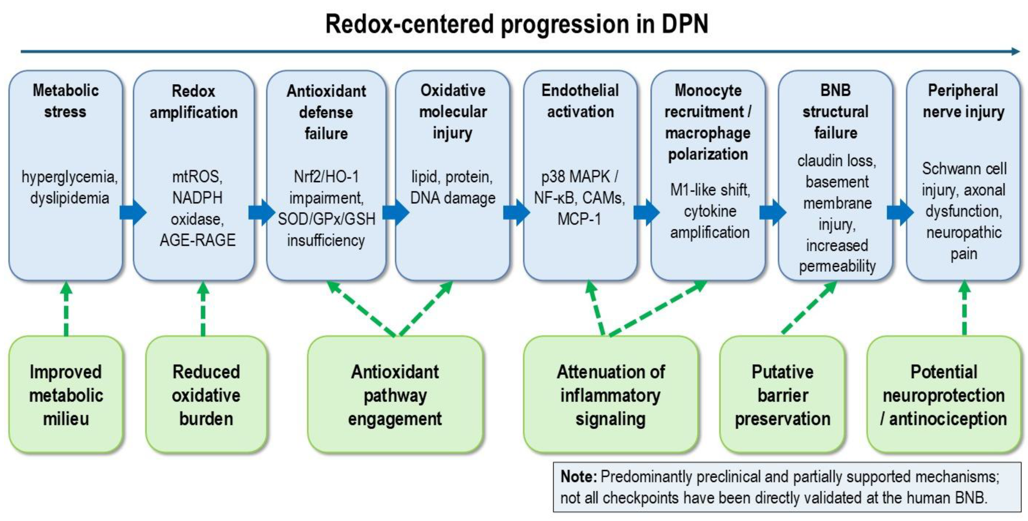 Preprints 213181 g004