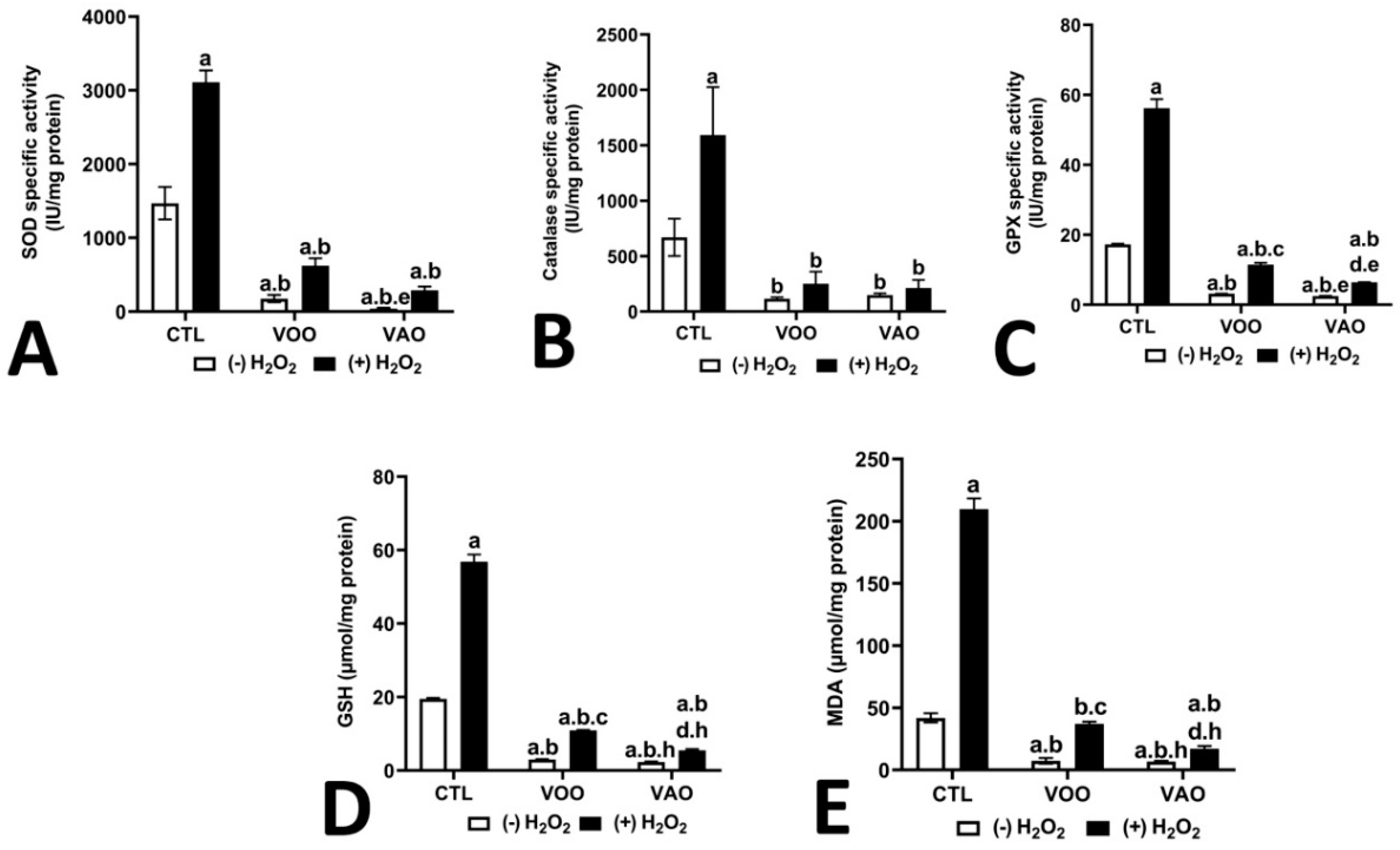 Preprints 142261 g005