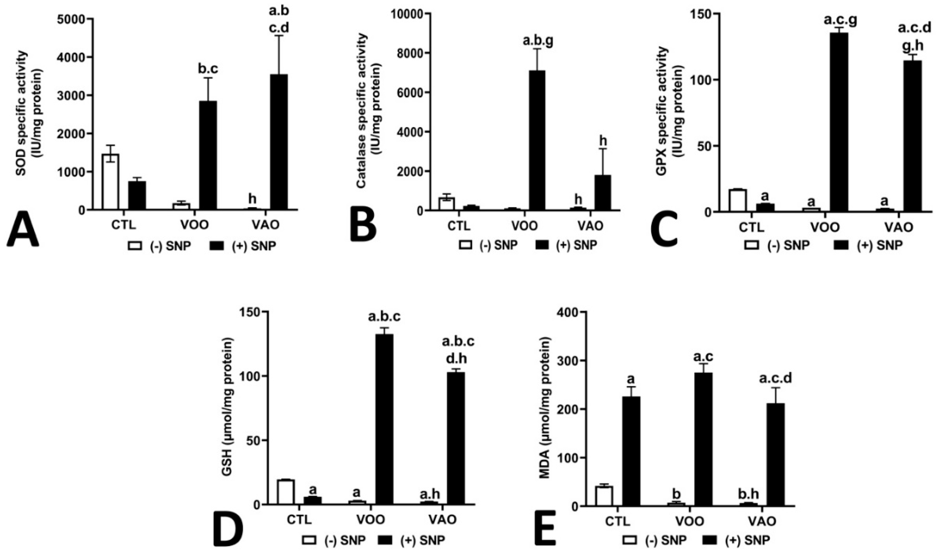 Preprints 142261 g006
