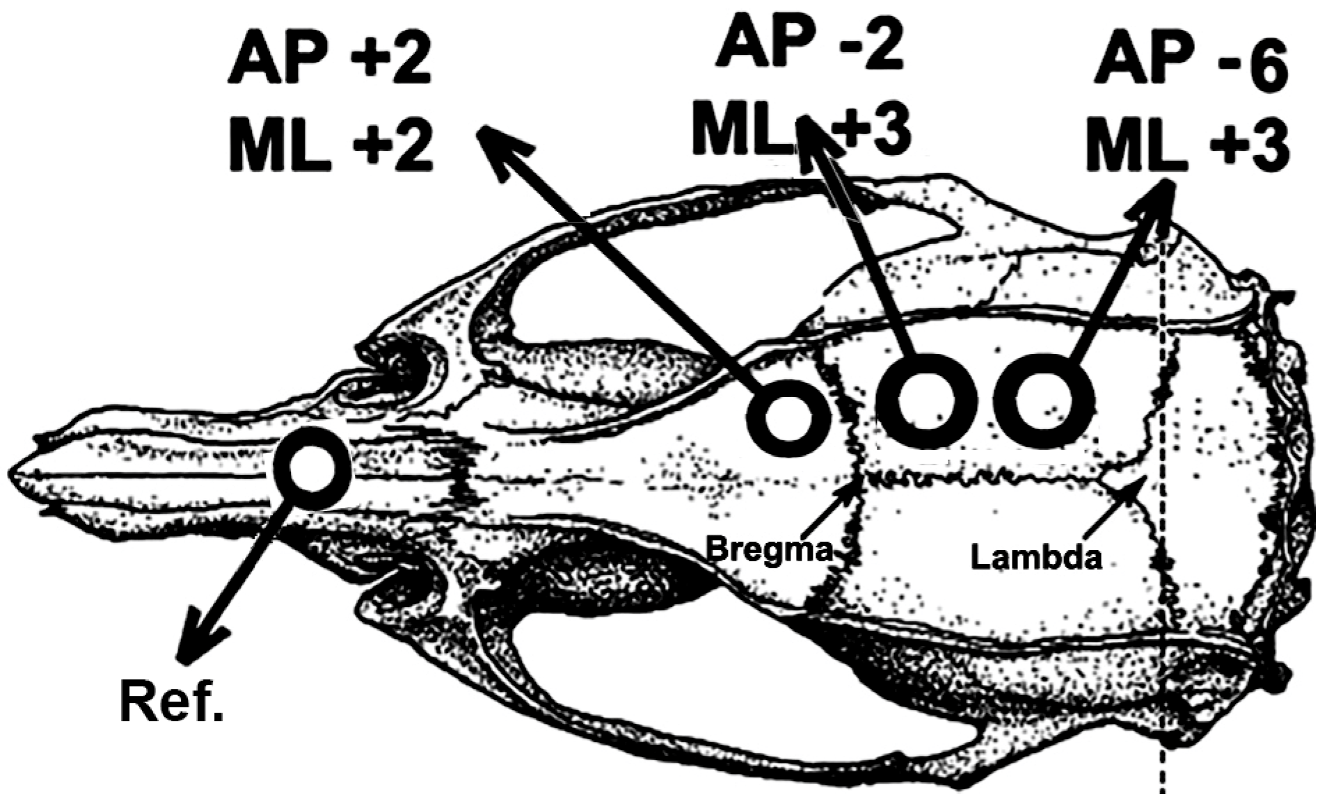 Preprints 157985 g001