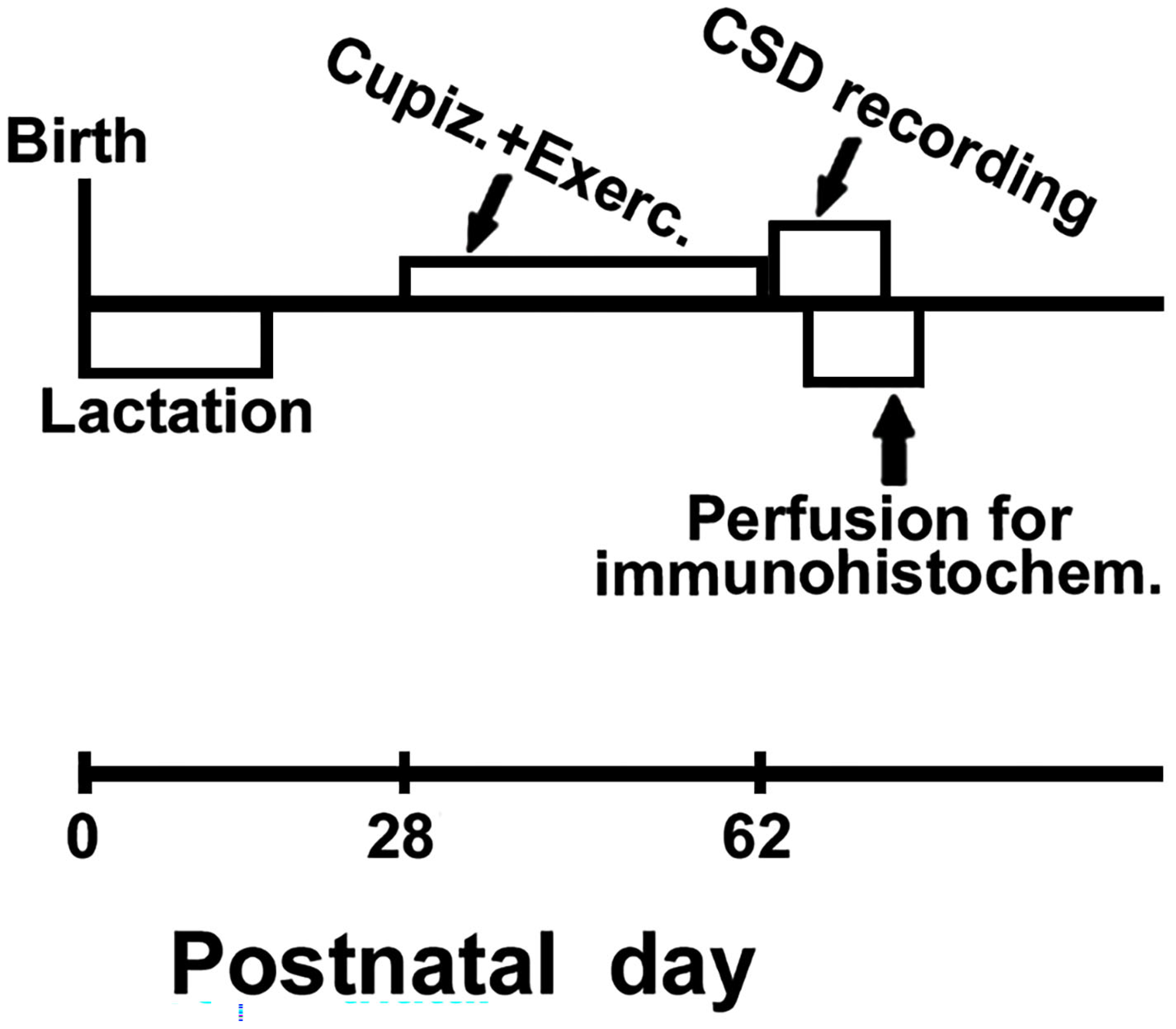 Preprints 157985 g002