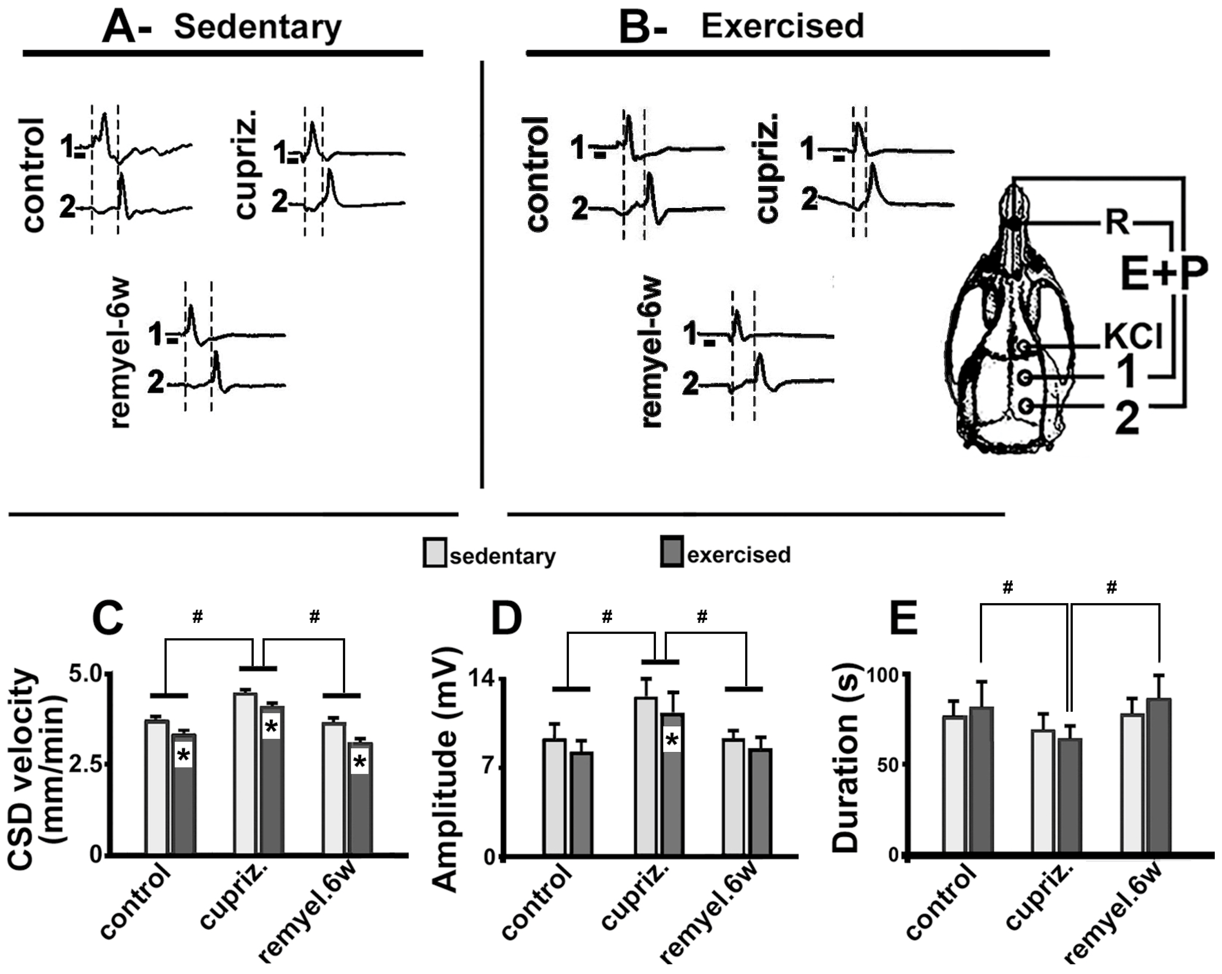 Preprints 157985 g003