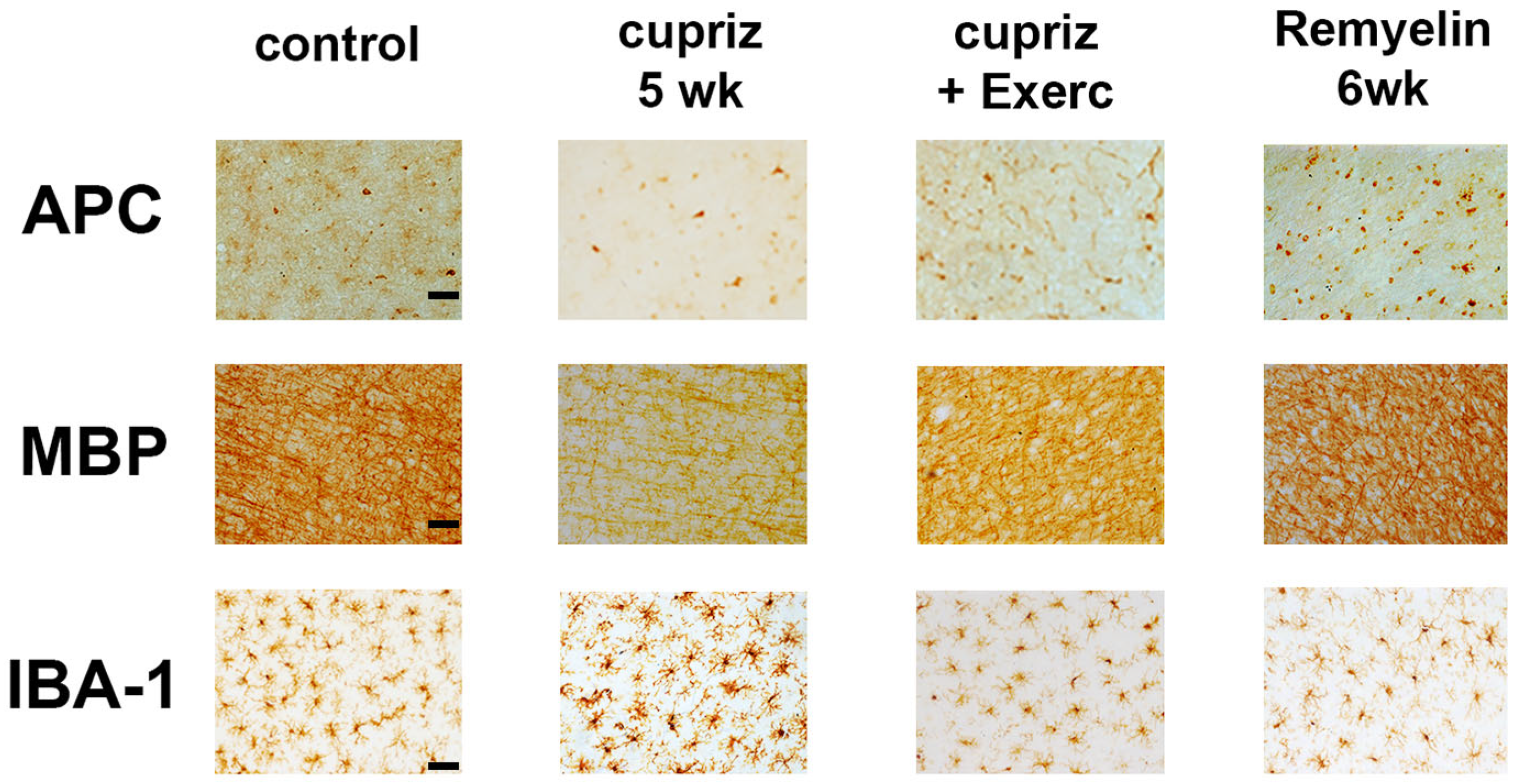 Preprints 157985 g004