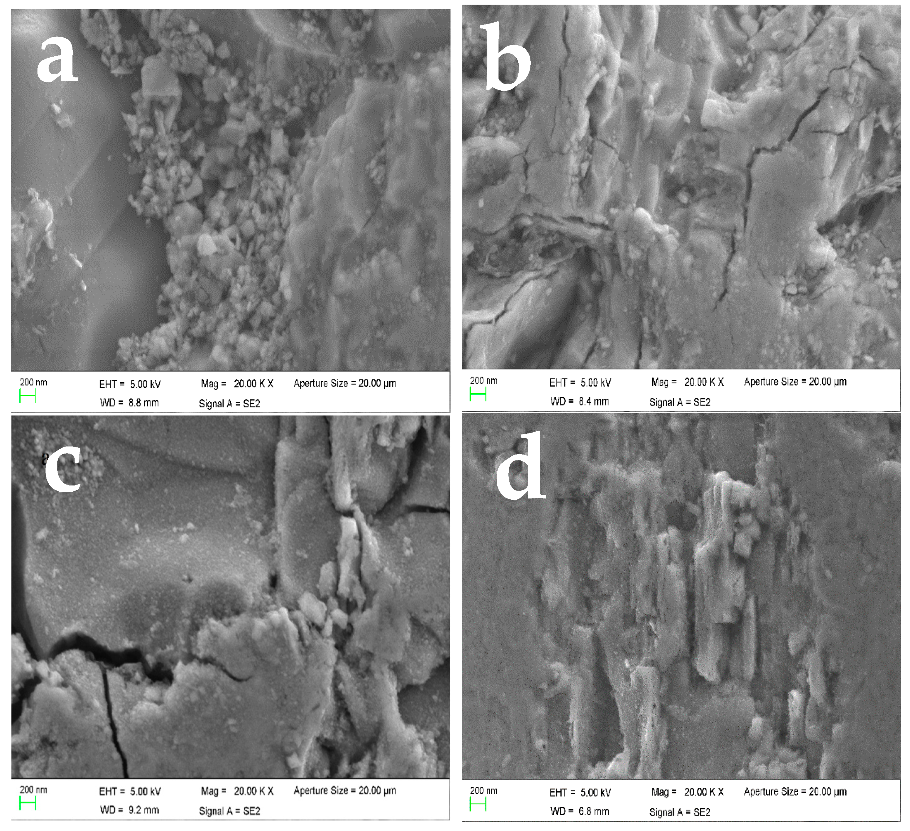 Preprints 78593 g010