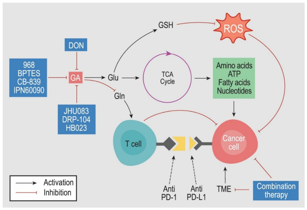 Preprints 218181 g004 Preprints 218181 g004