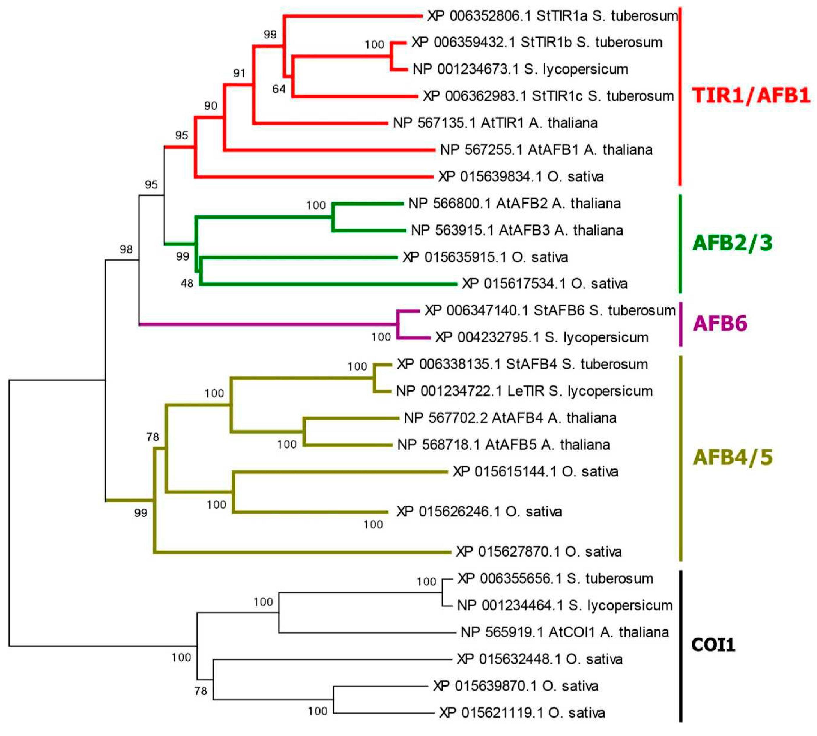 Preprints 78982 g002