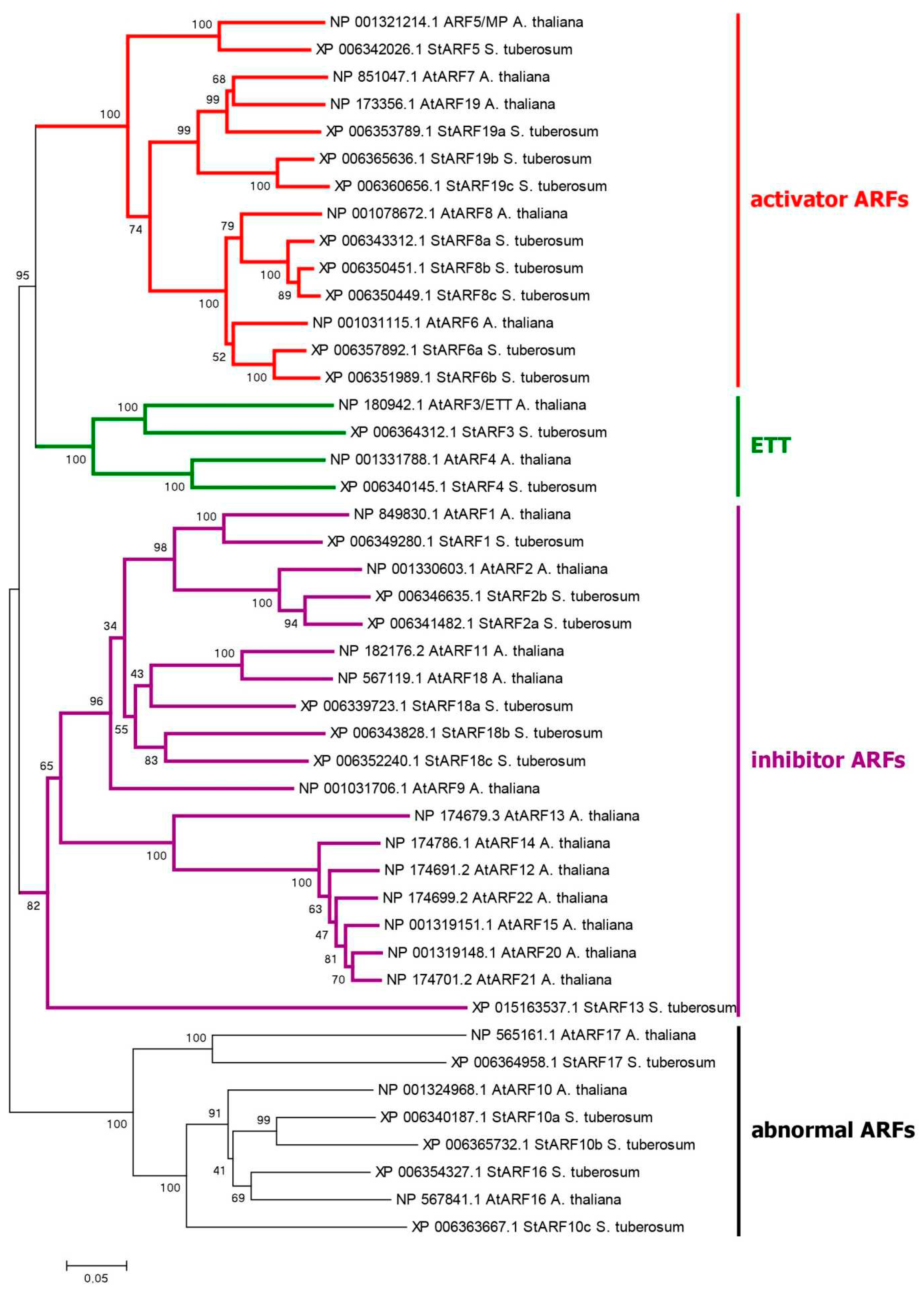 Preprints 78982 g003