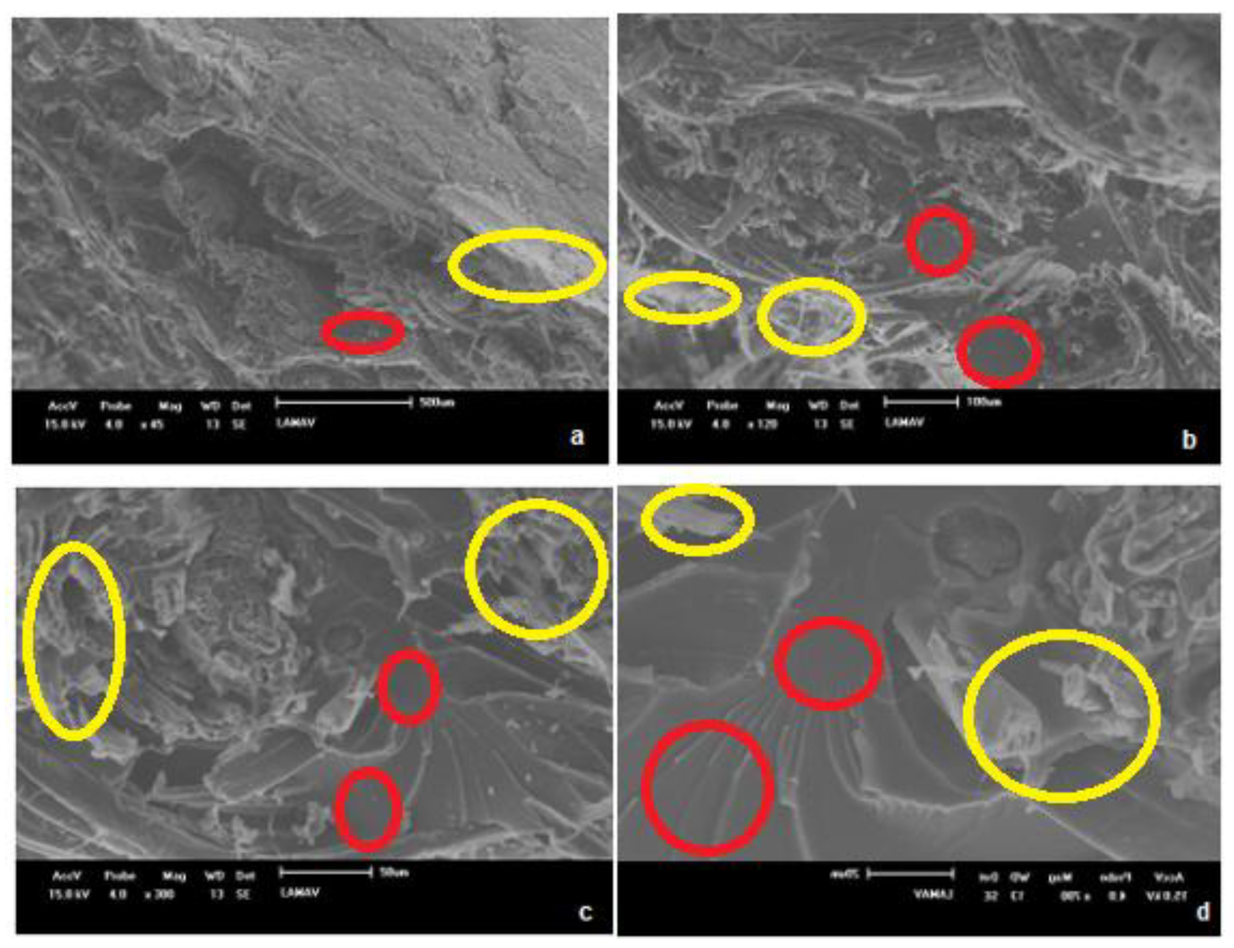 Preprints 164687 g010