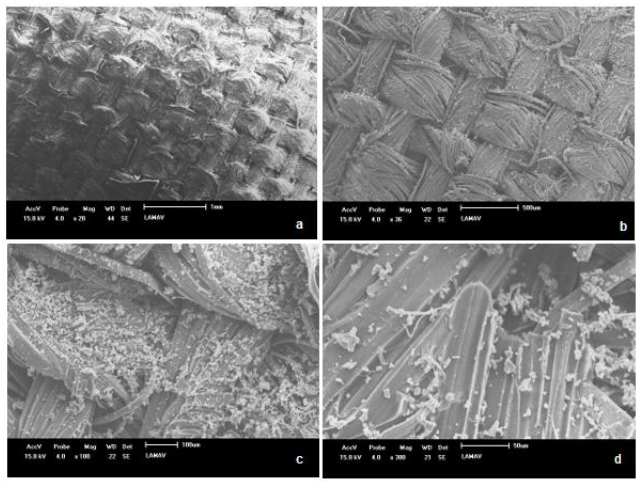 Preprints 164687 g011