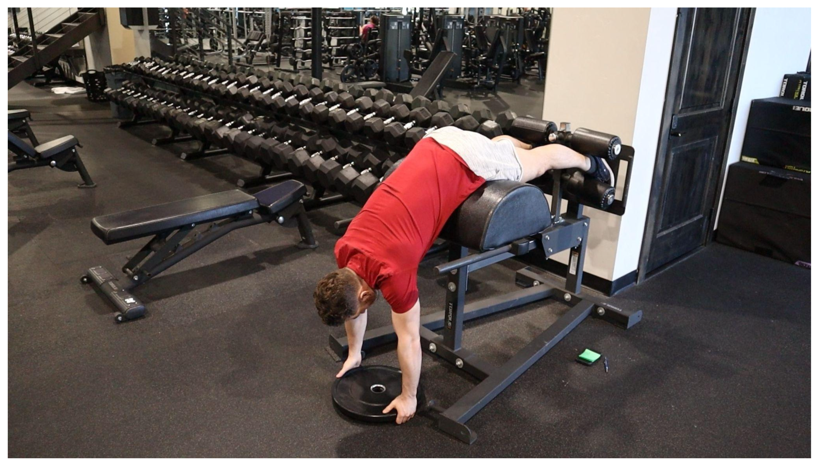 Preprints 163386 g001