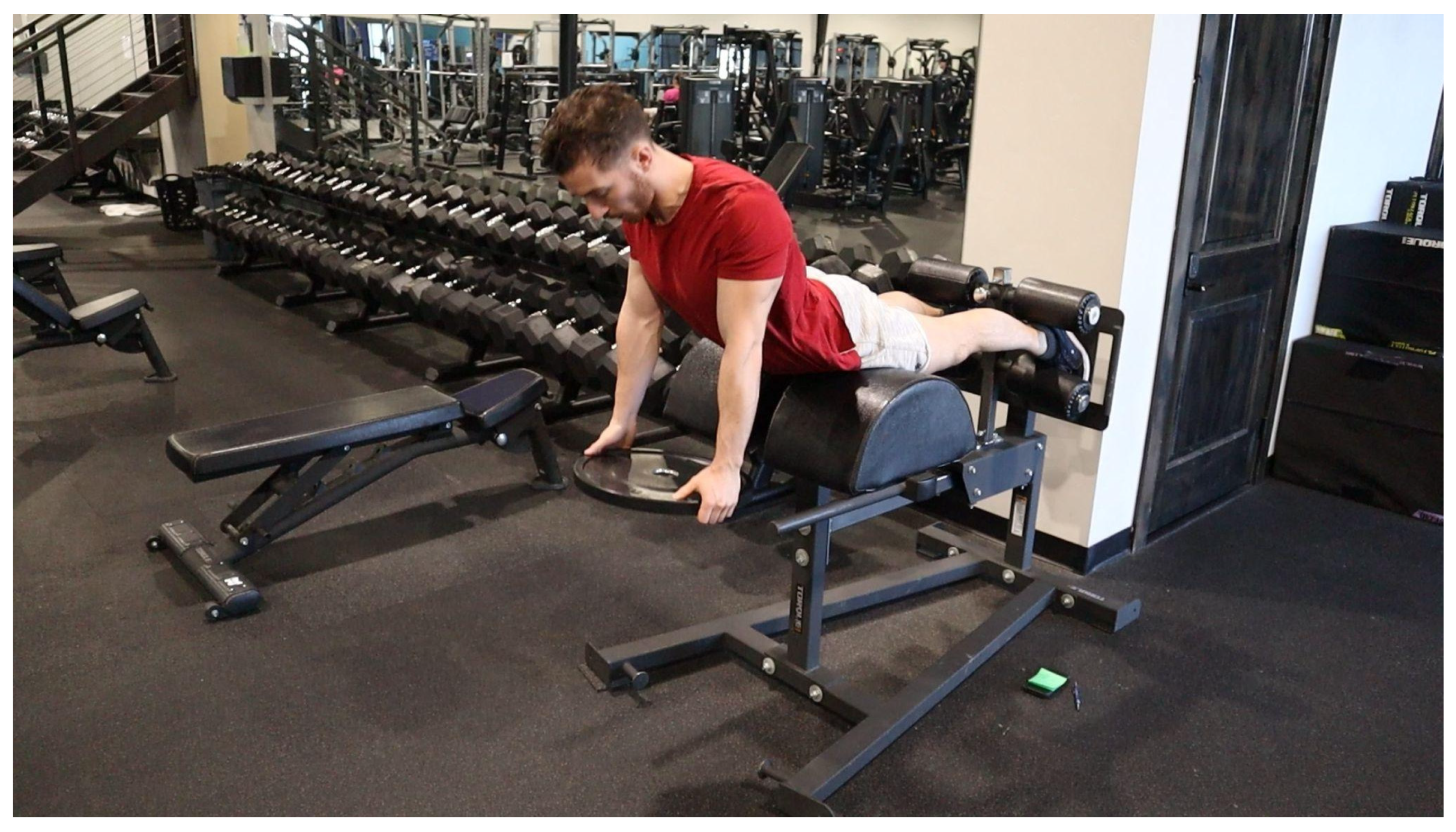 Preprints 163386 g002