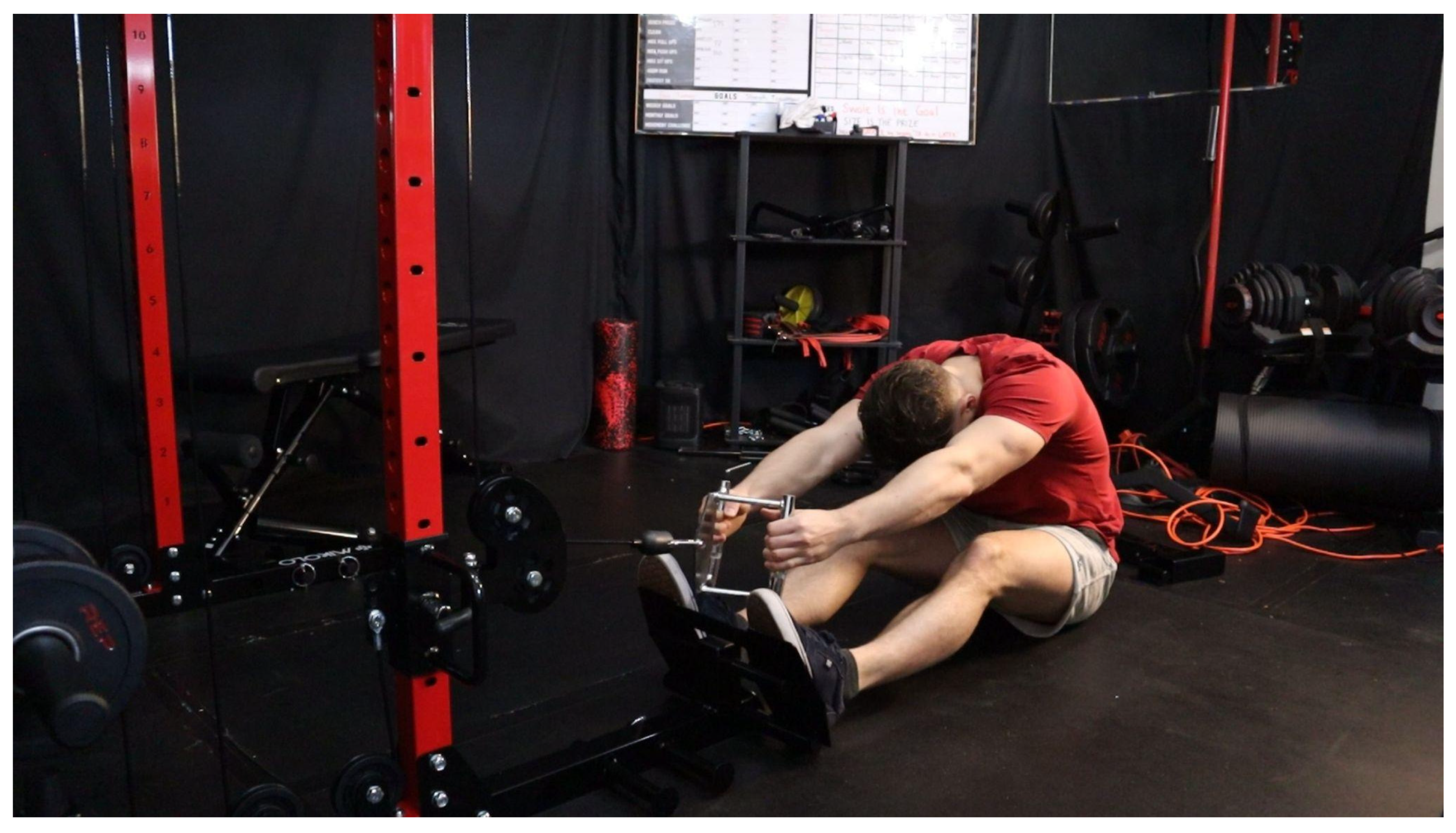 Preprints 163386 g003