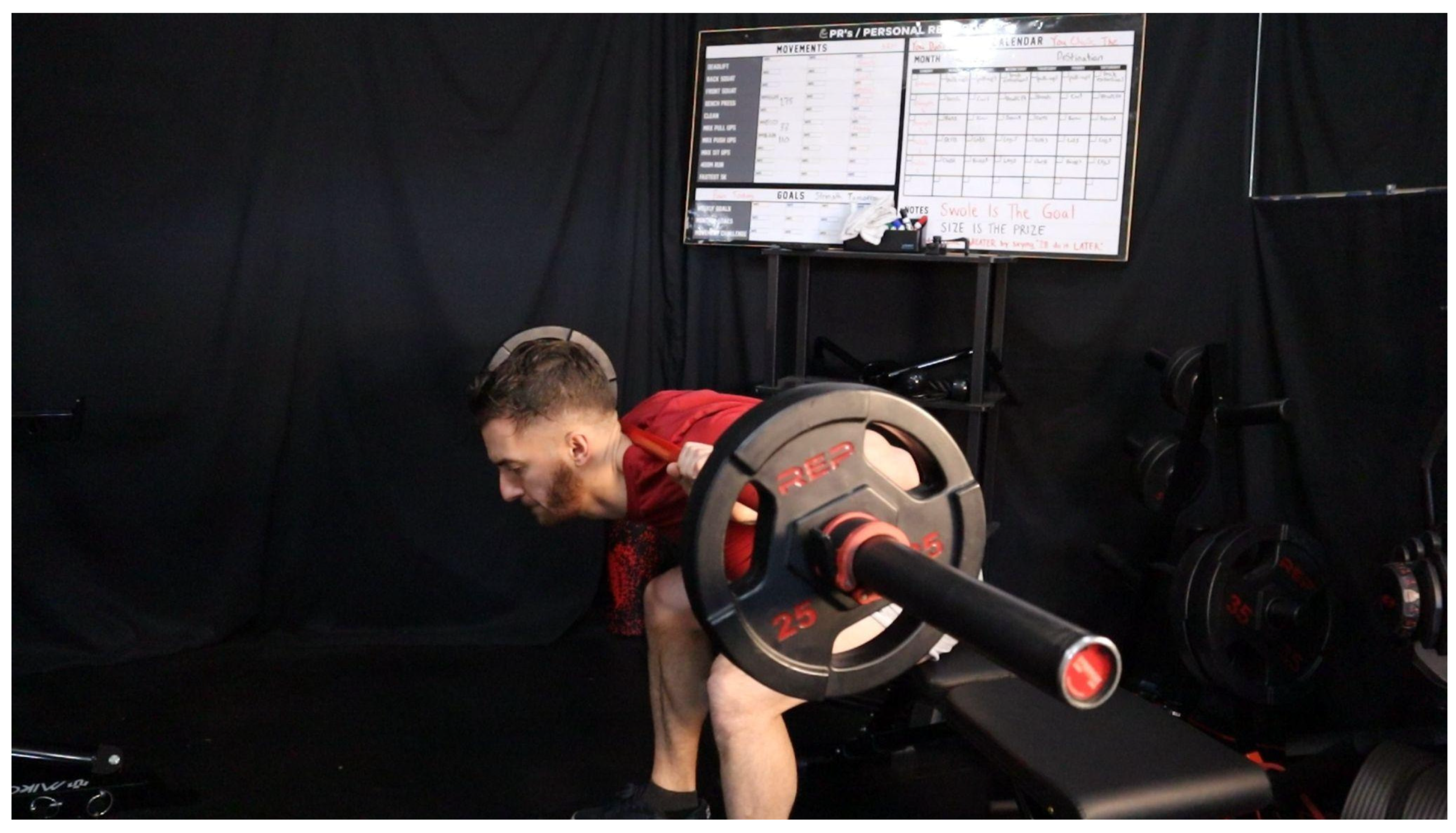 Preprints 163386 g008