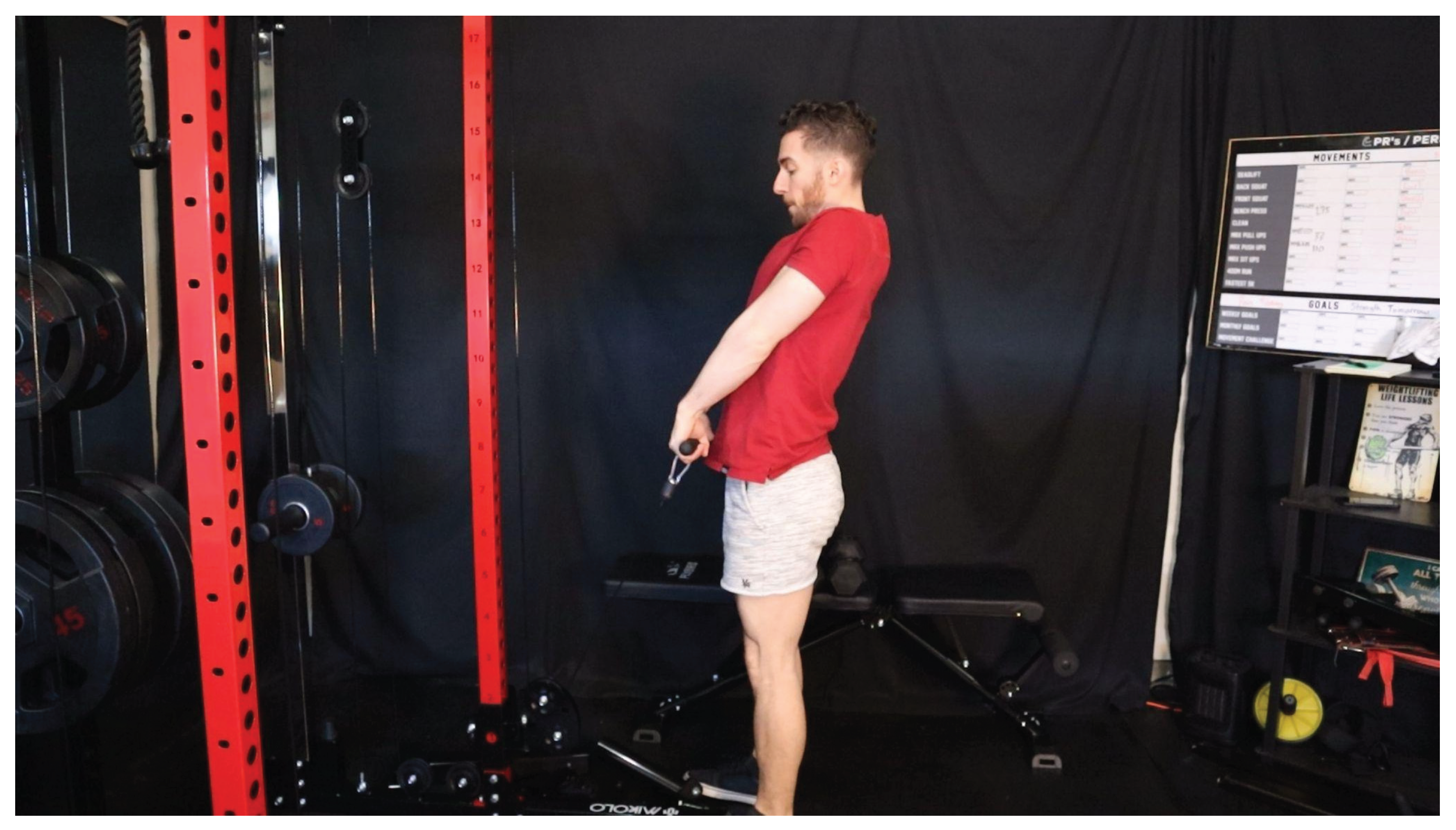 Preprints 163386 g012