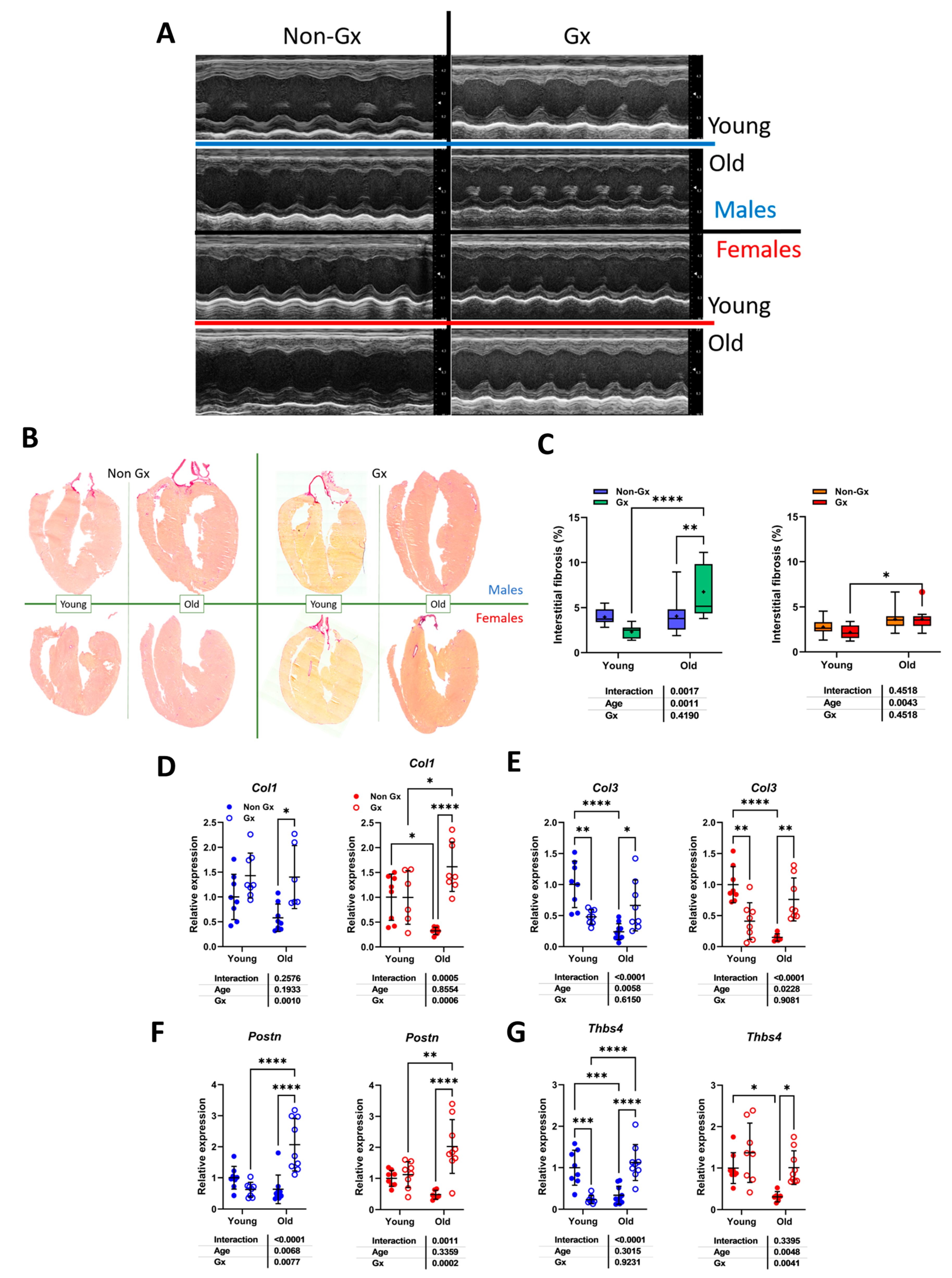 Preprints 158415 g002