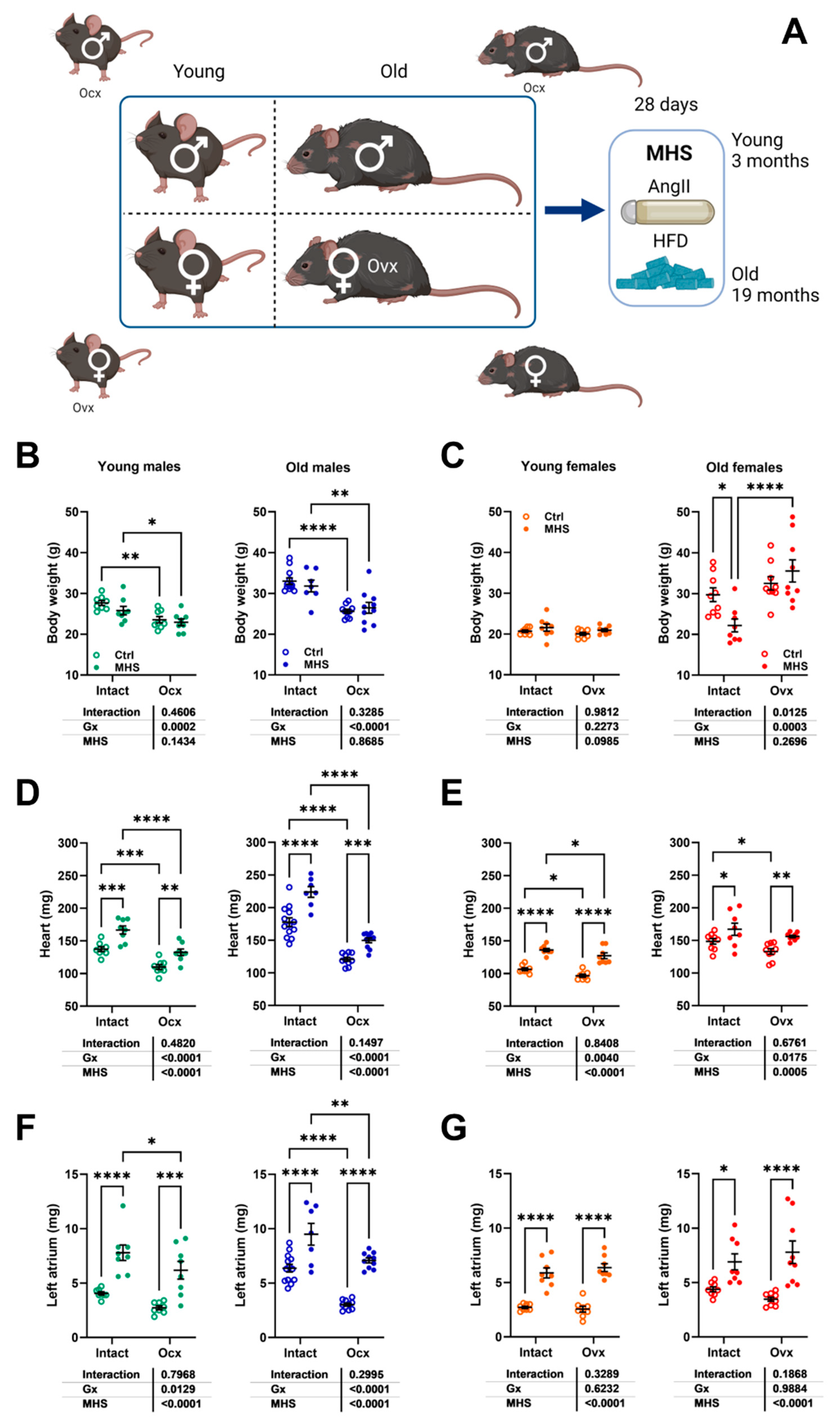 Preprints 158415 g004